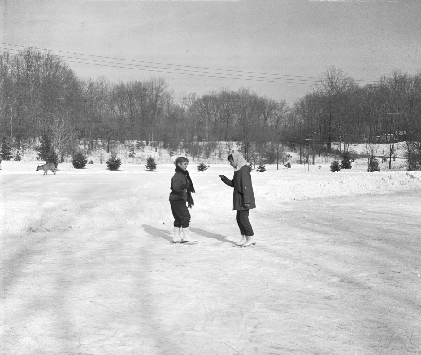 Childhood (25 of 27).jpg