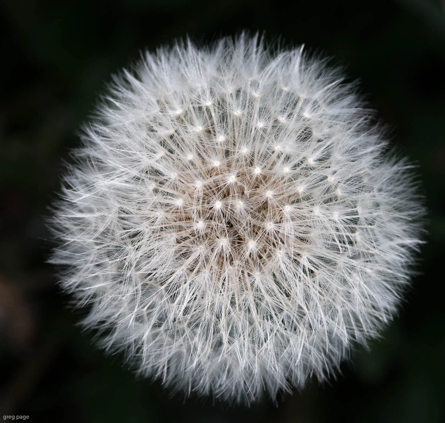 20160417-008-Gpage.jpg