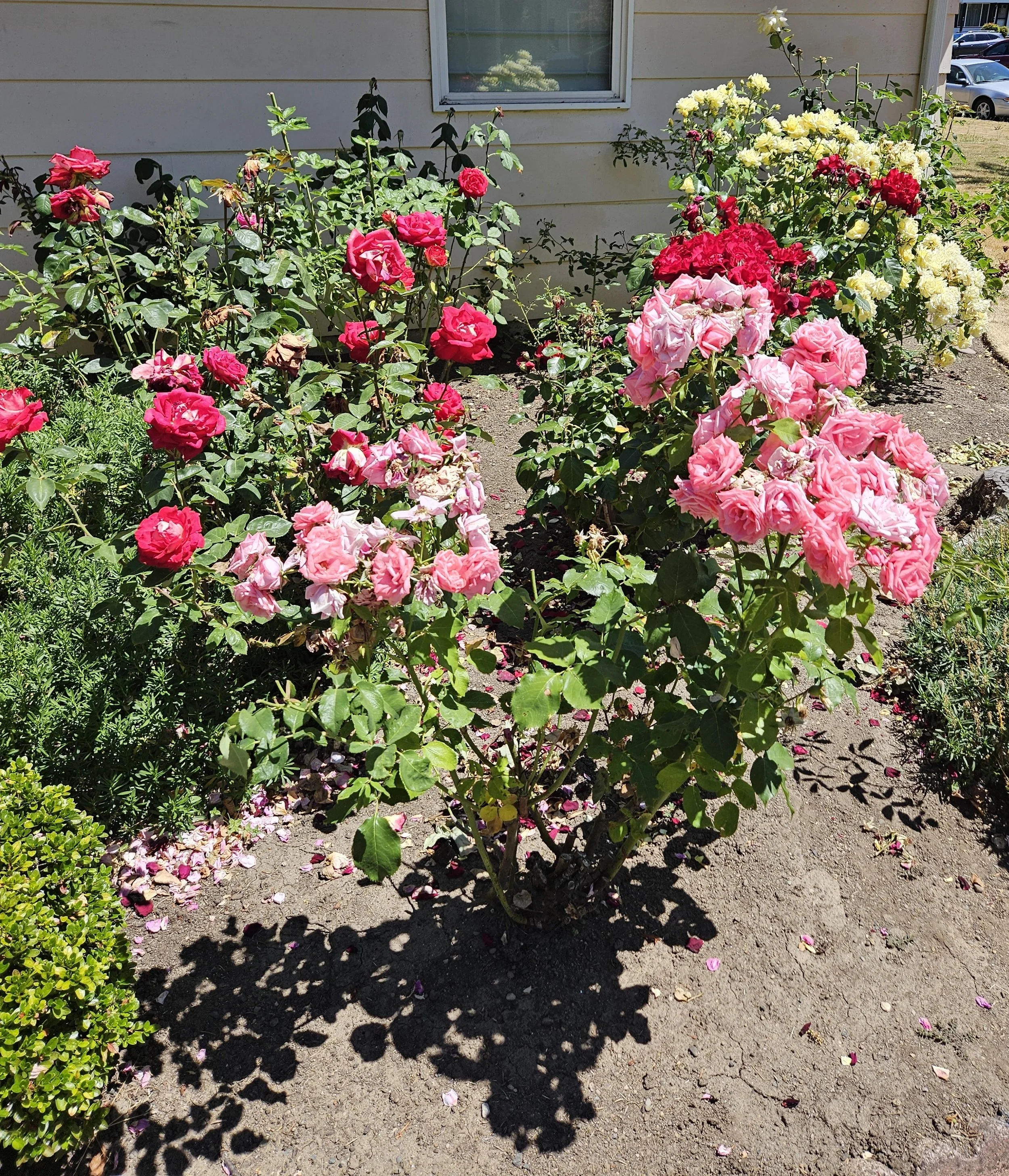 20240628_135157.jpg