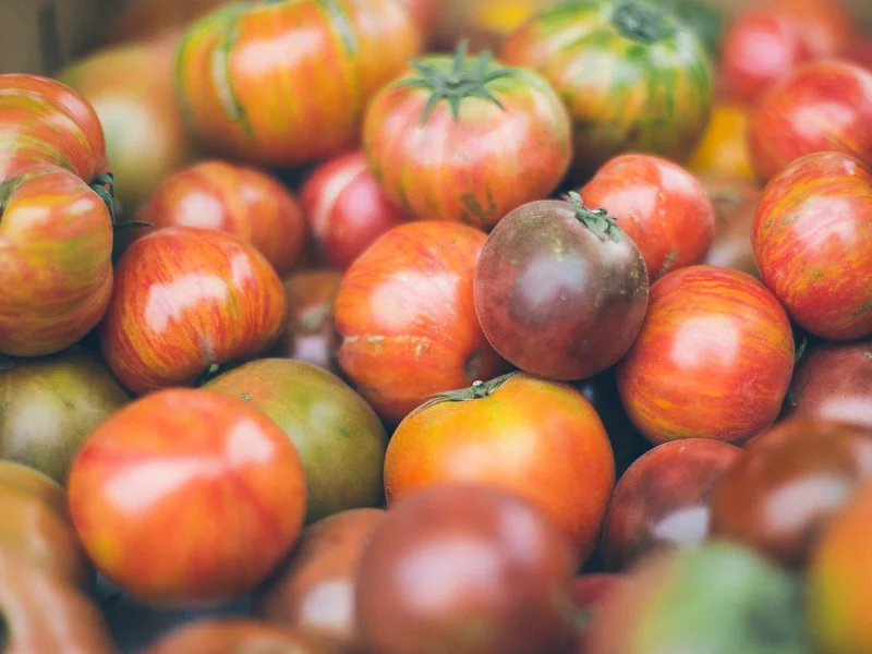 tomato heirloom.jpg