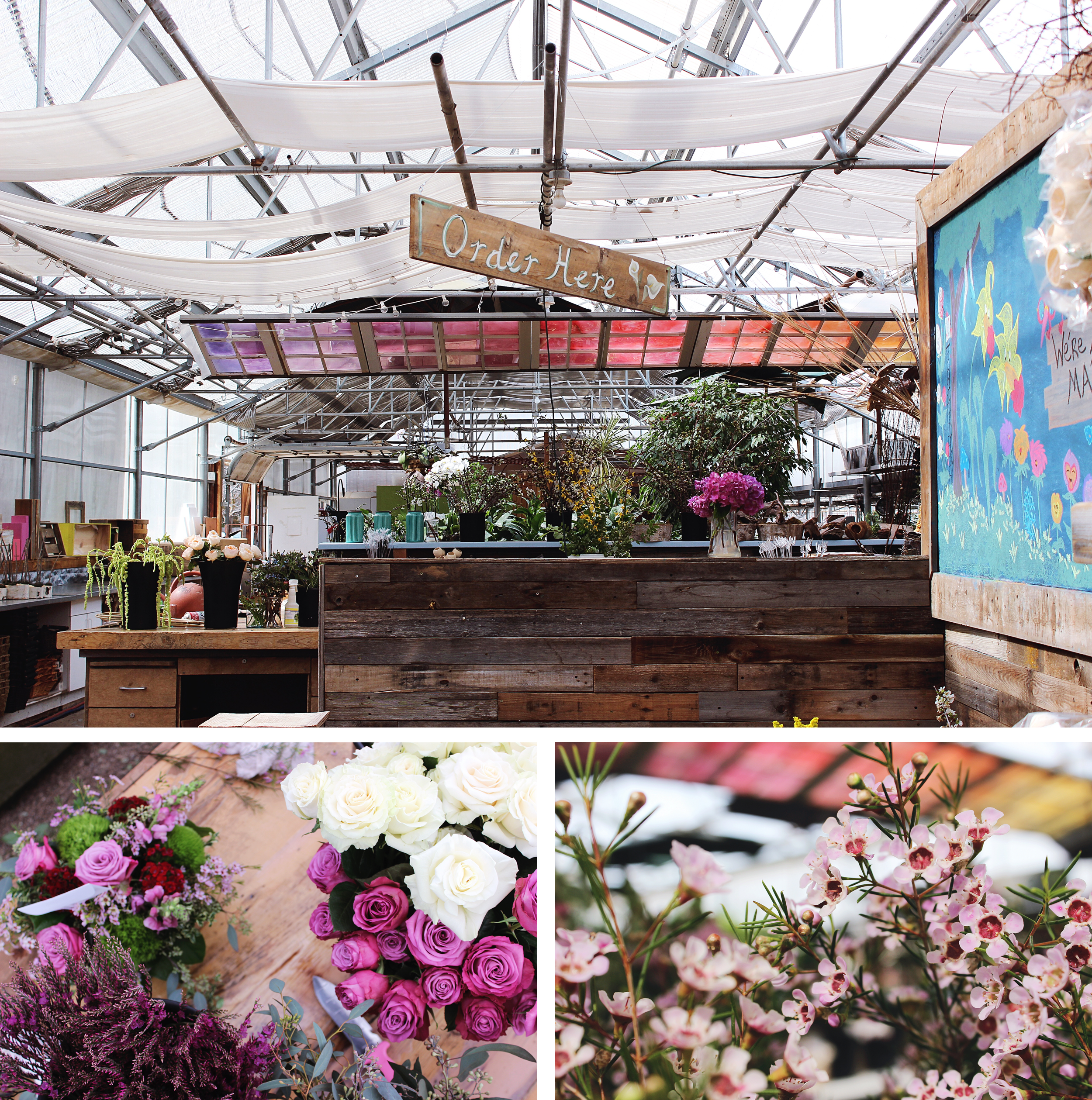 flowershop — edwards greenhouse