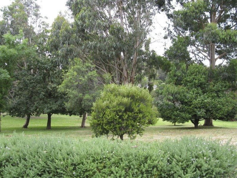 4556135-15763864-thumbnail.jpg