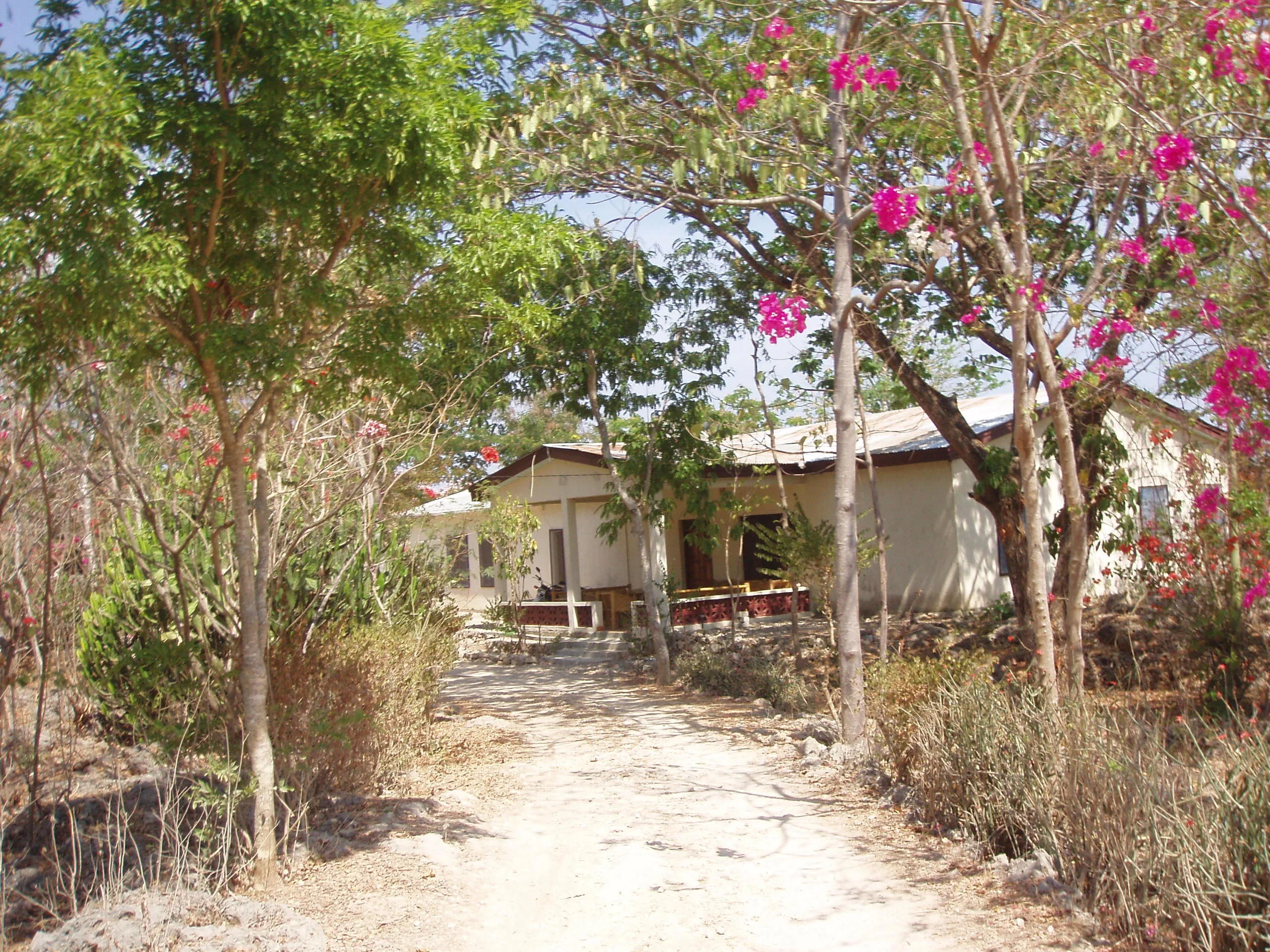 Brothers' house.jpg