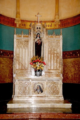 IMG_2579 (Large).JPG