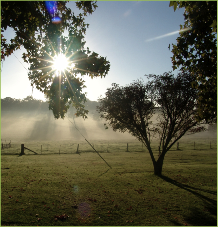 Sunrise.png