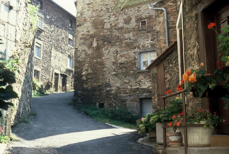 la+valla+streets.jpg