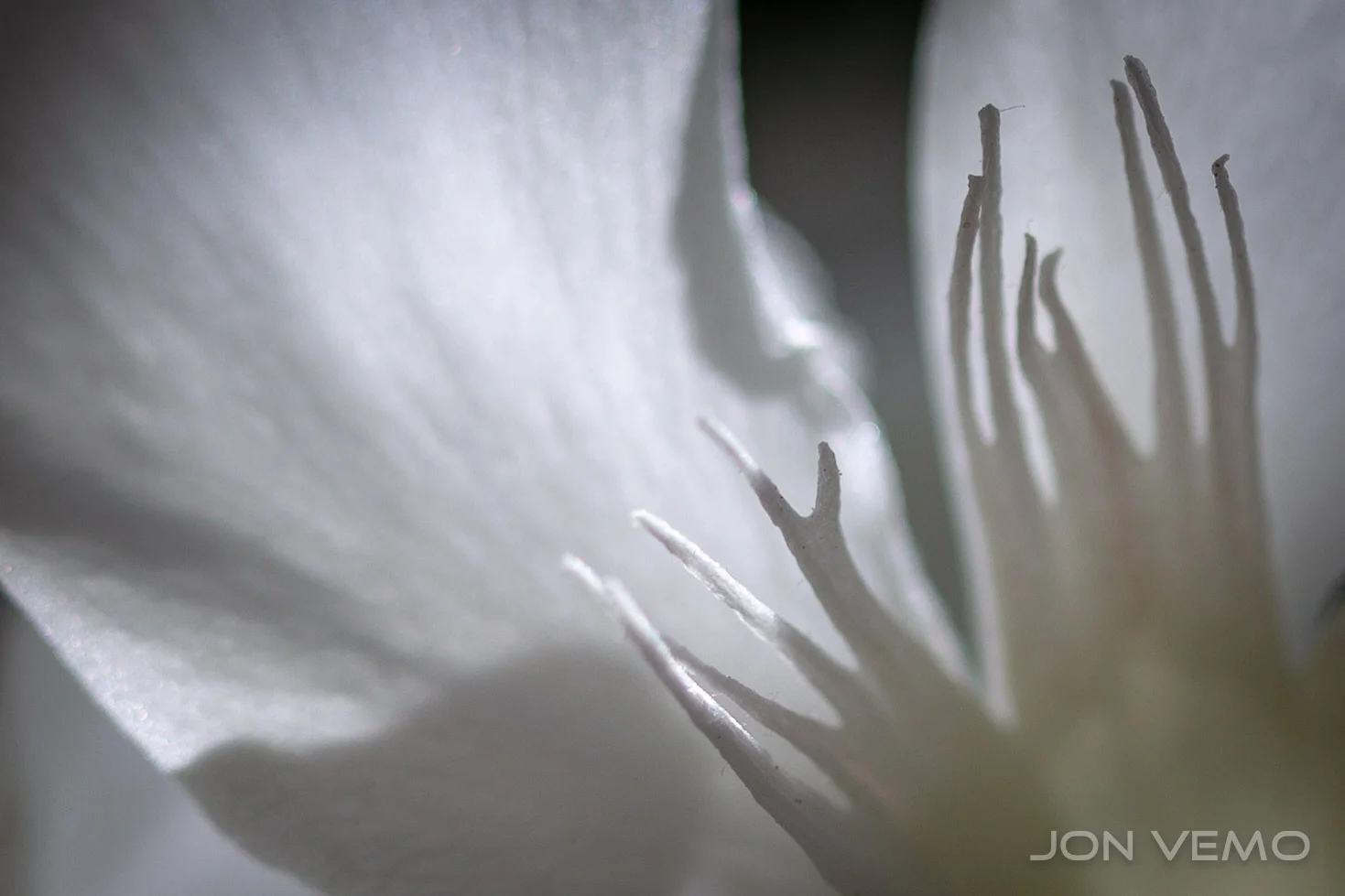 BackYardMacro-20.jpg