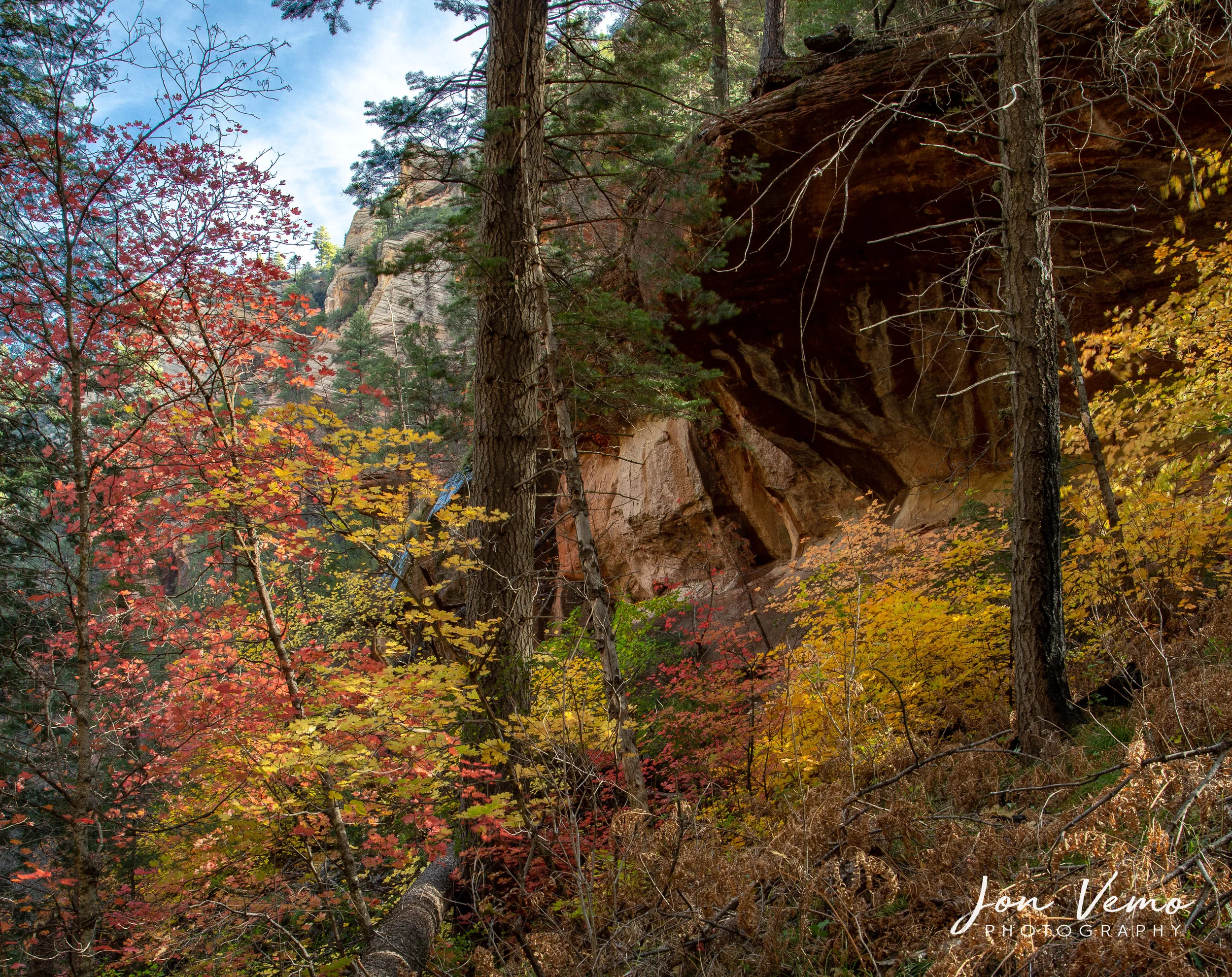 Fall colors along the West Fork of Oak Creek