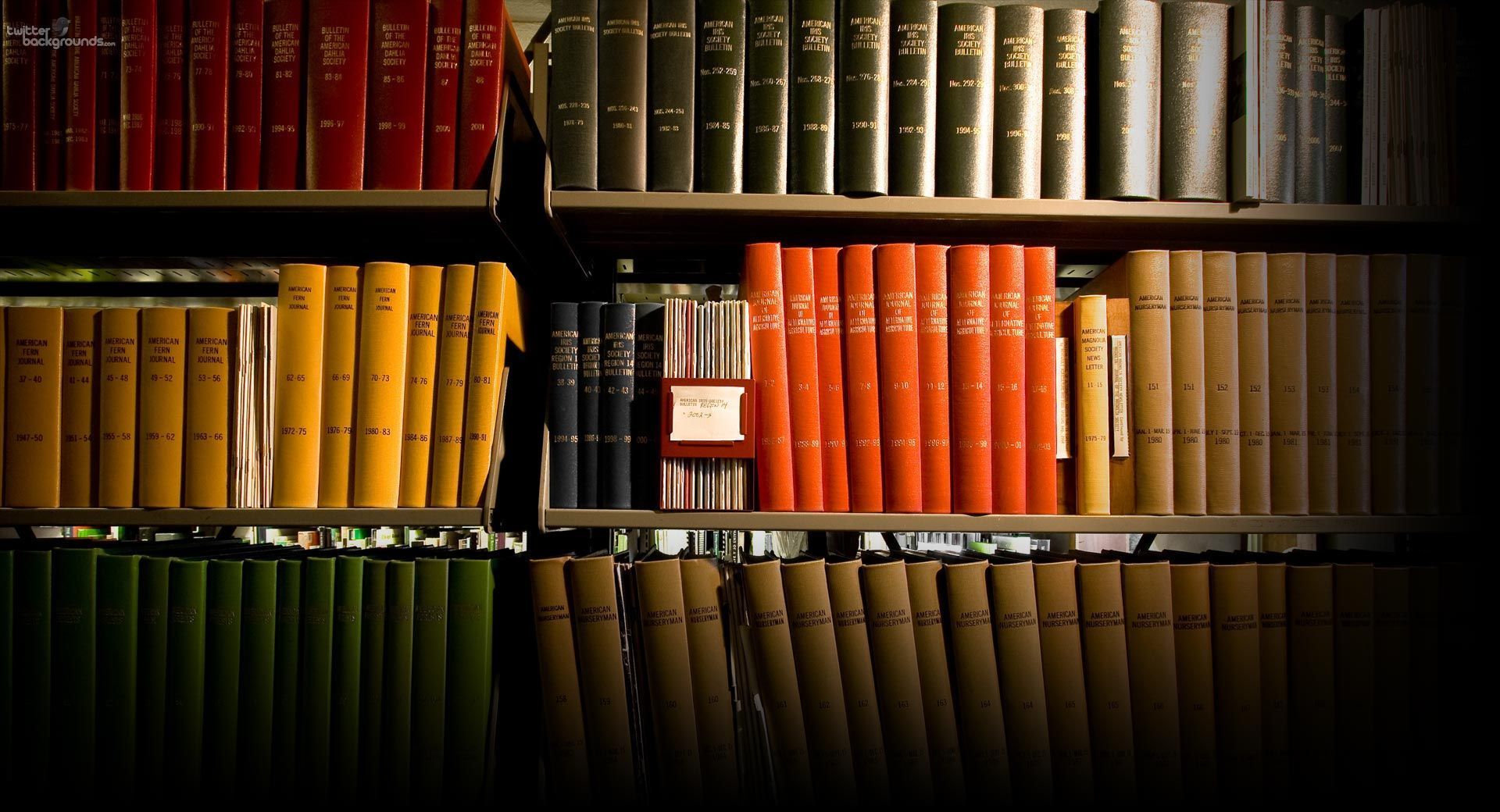 books-on-shelf-background