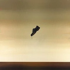 saupload_other_shoe_drop.jpg