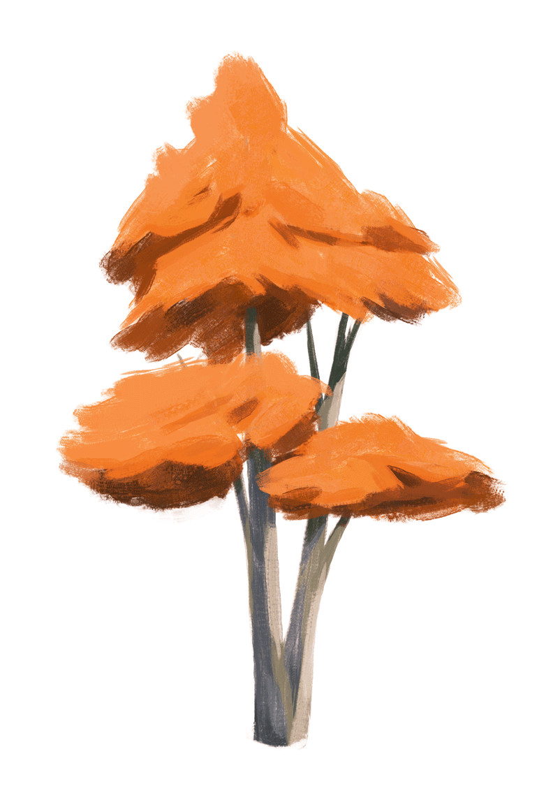 orange_tree_diff_001d_06_2s_alt.gif