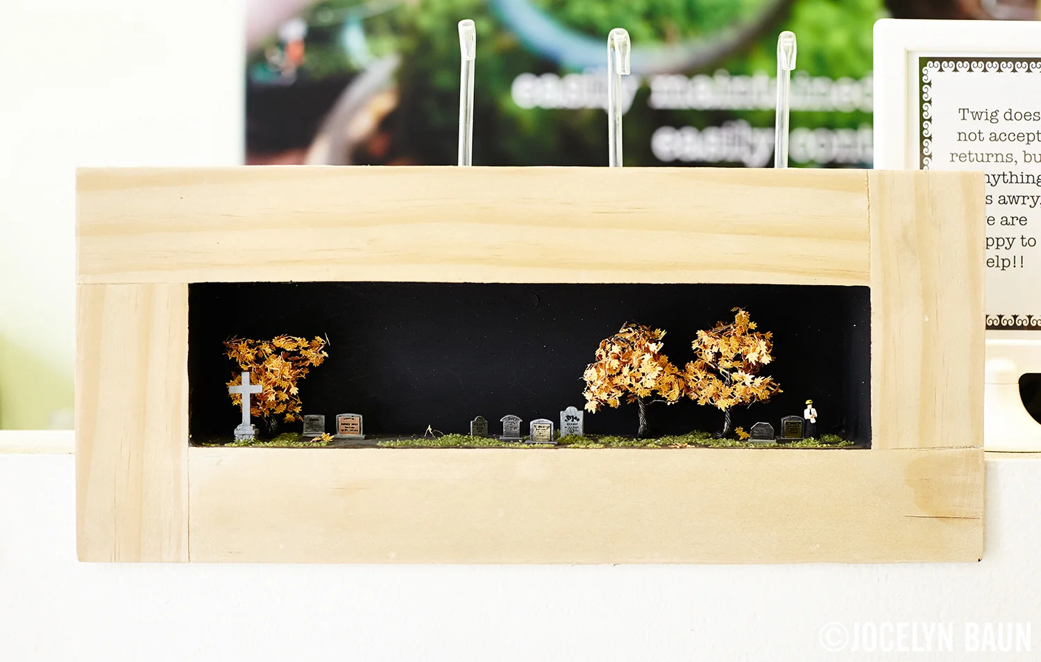 Mini worlds created by Katy Maslow and Michelle Inciarrano of Twig Terrariums.