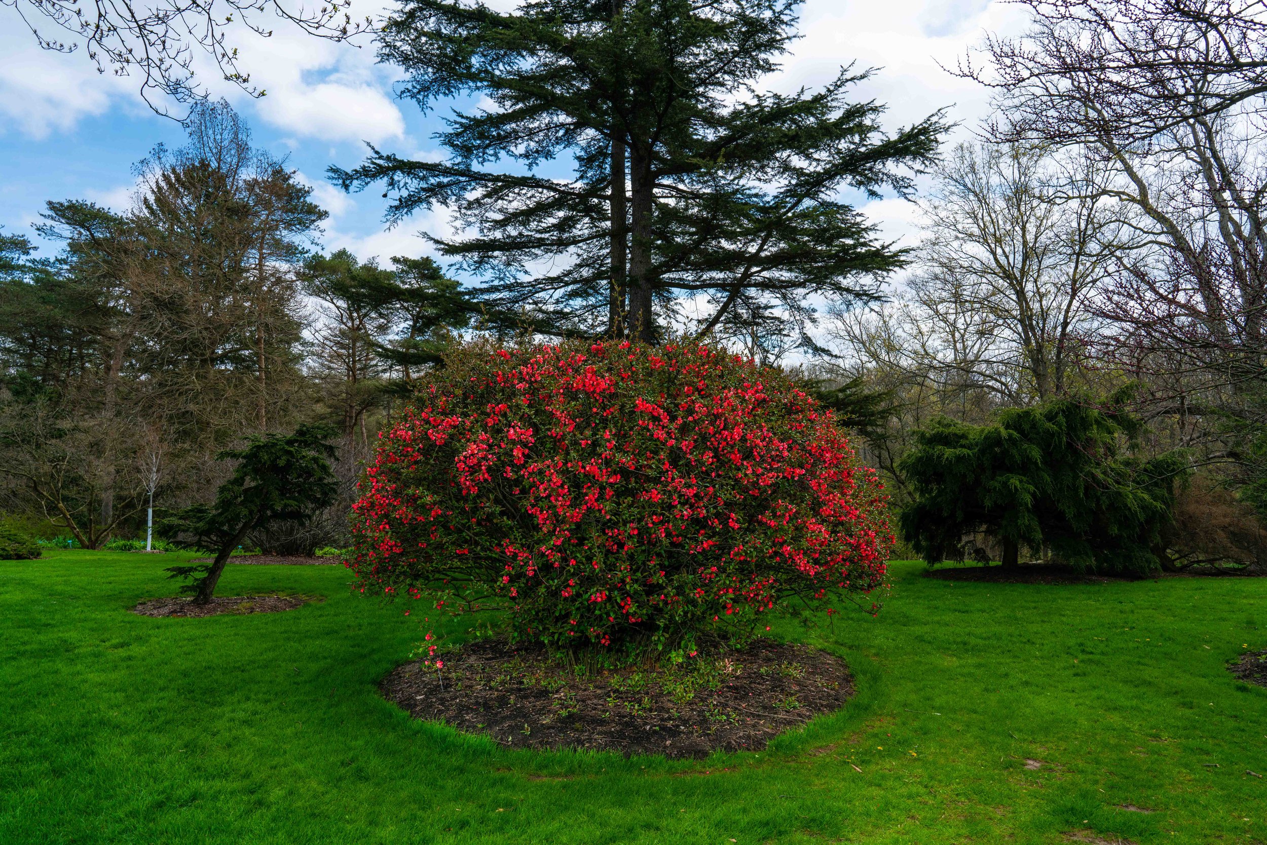 The Garden That Grew 100k-5.jpg