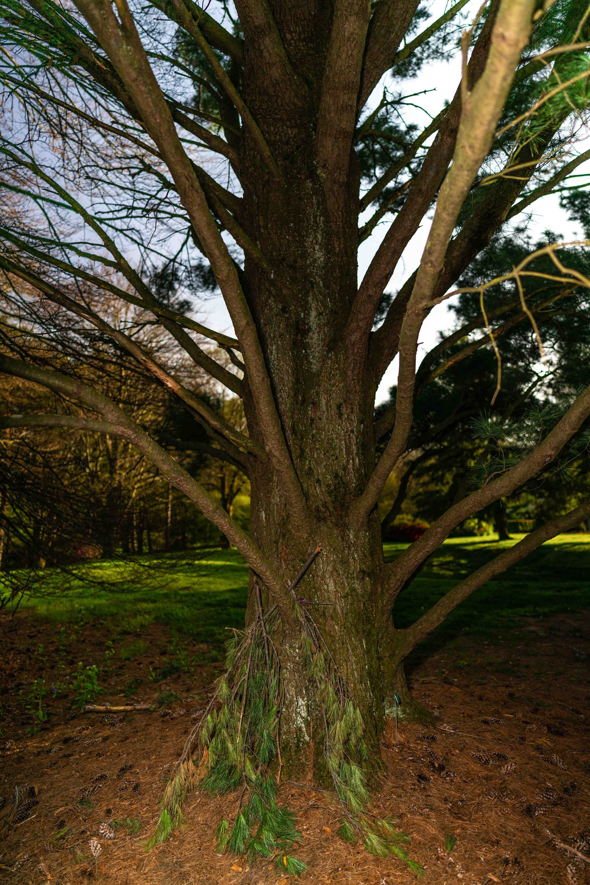 The Garden That Grew 100k-10.jpg