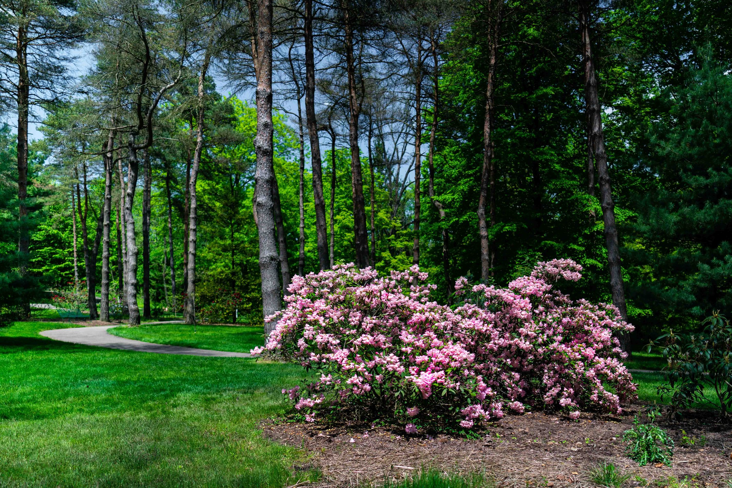 The Garden That Grew 100k-14.jpg