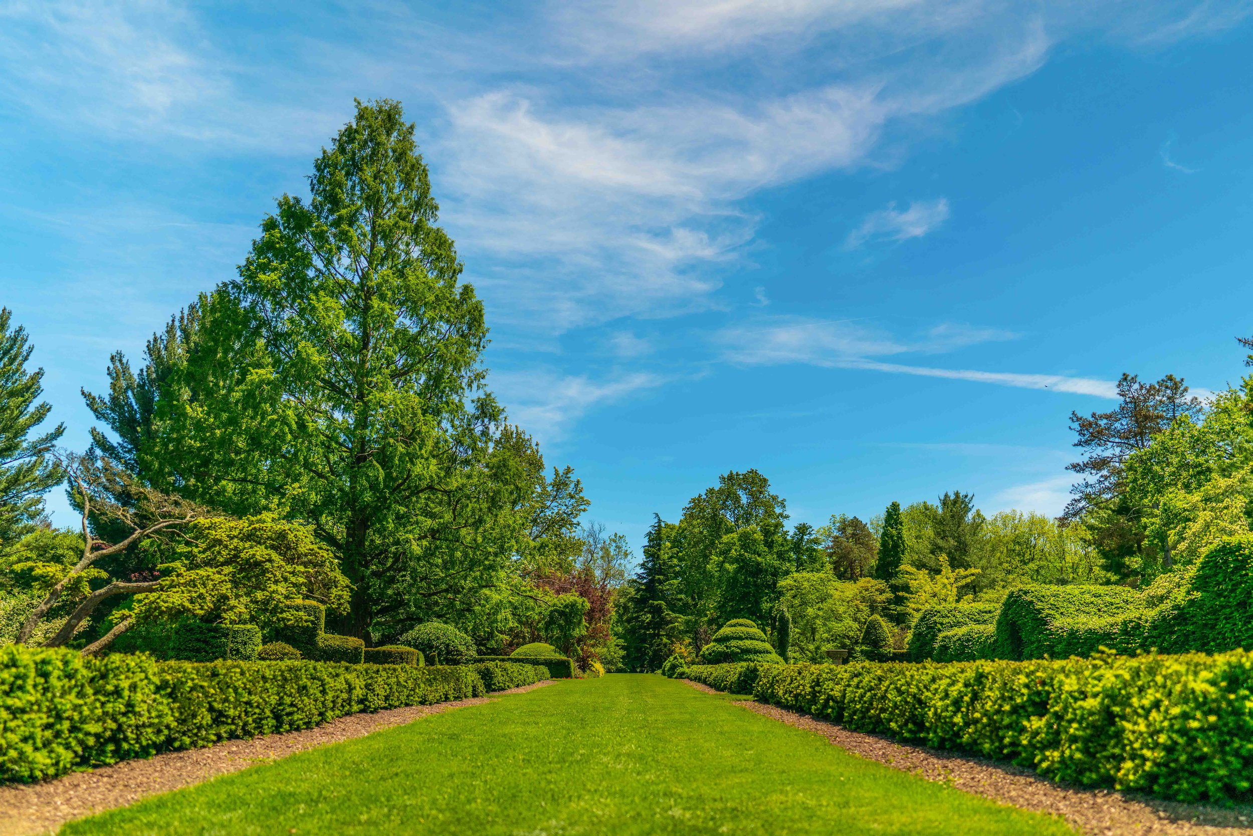 The Garden That Grew 100k-15.jpg