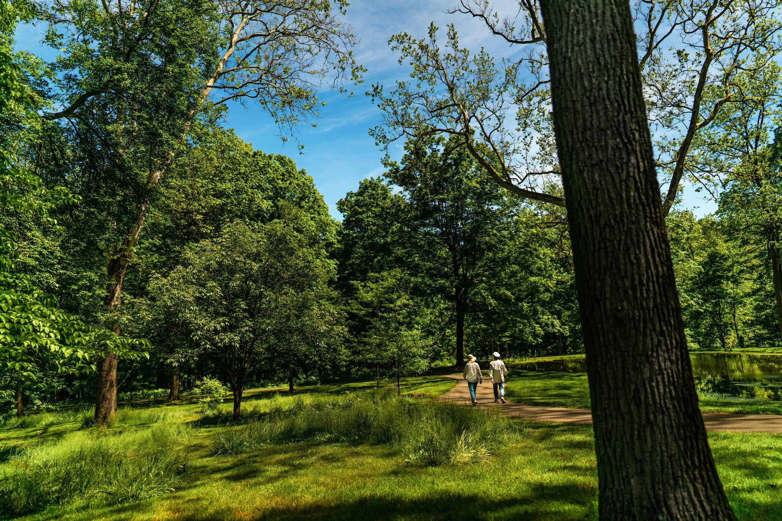 The Garden That Grew 100k-18.jpg