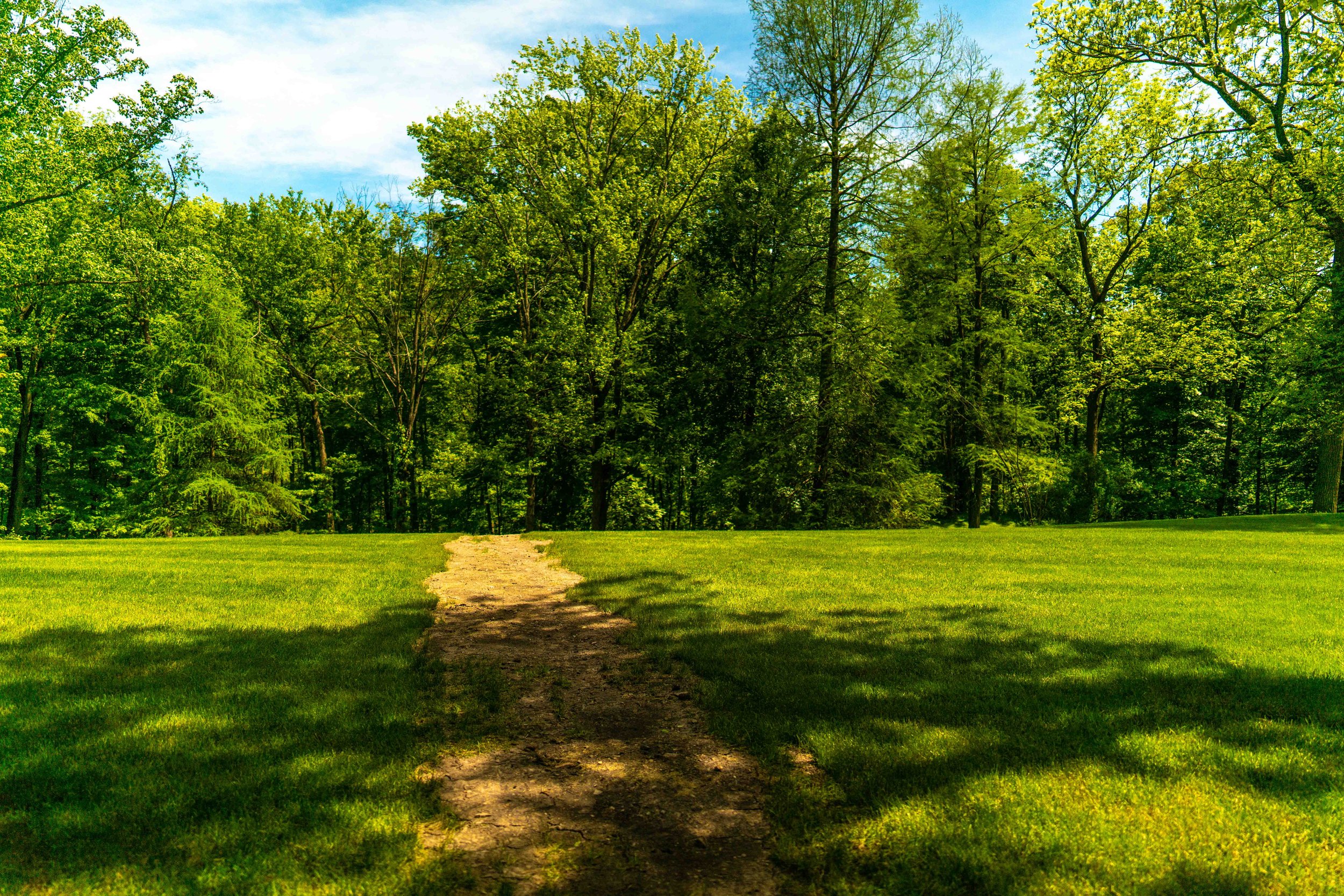 The Garden That Grew 100k-20.jpg