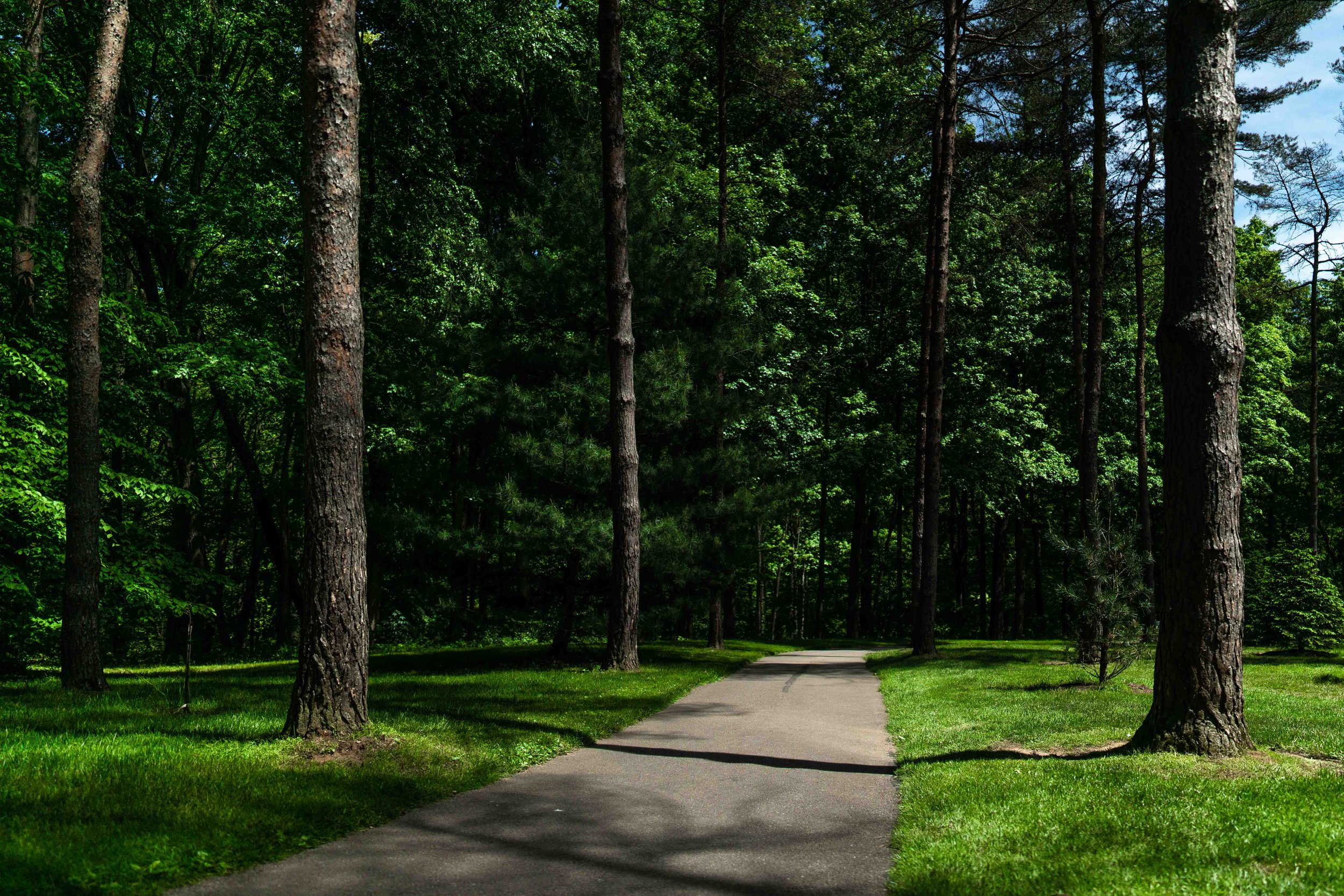 The Garden That Grew 100k-21.jpg