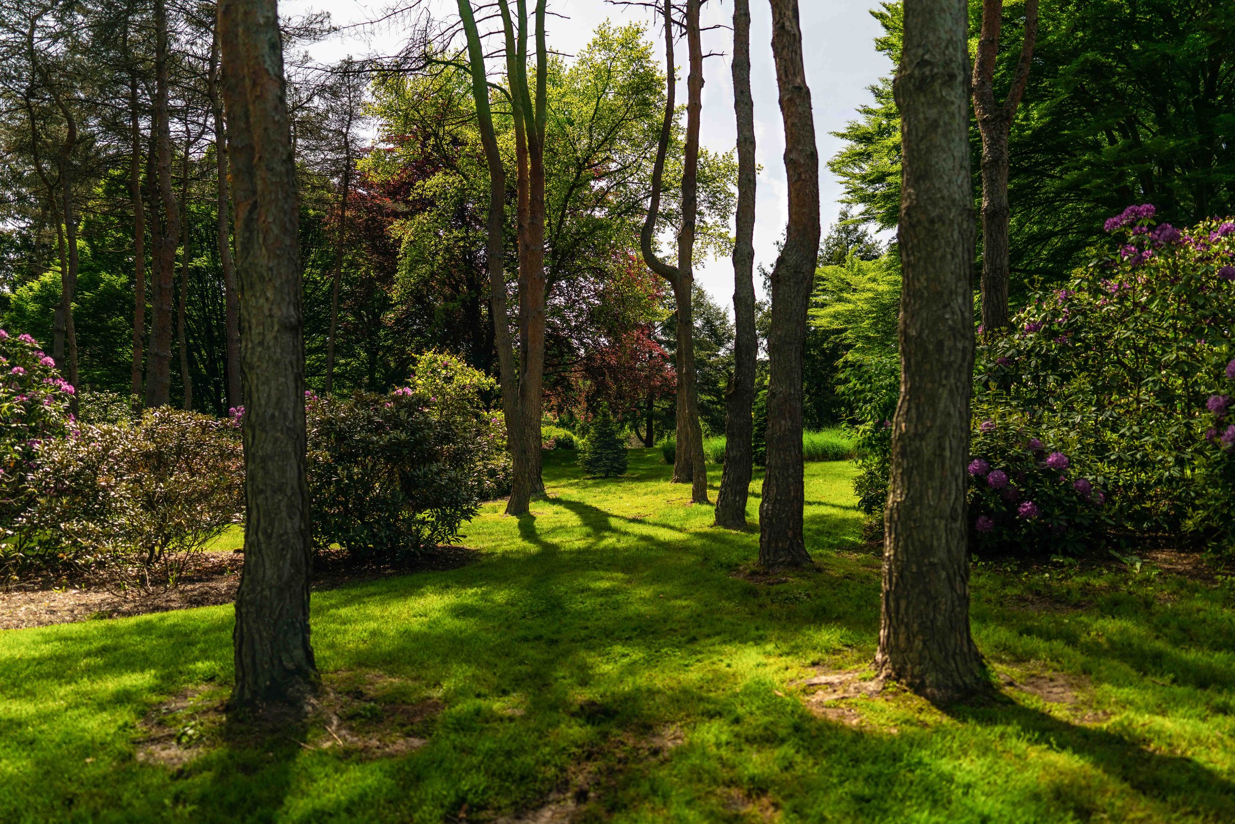The Garden That Grew 100k-22.jpg