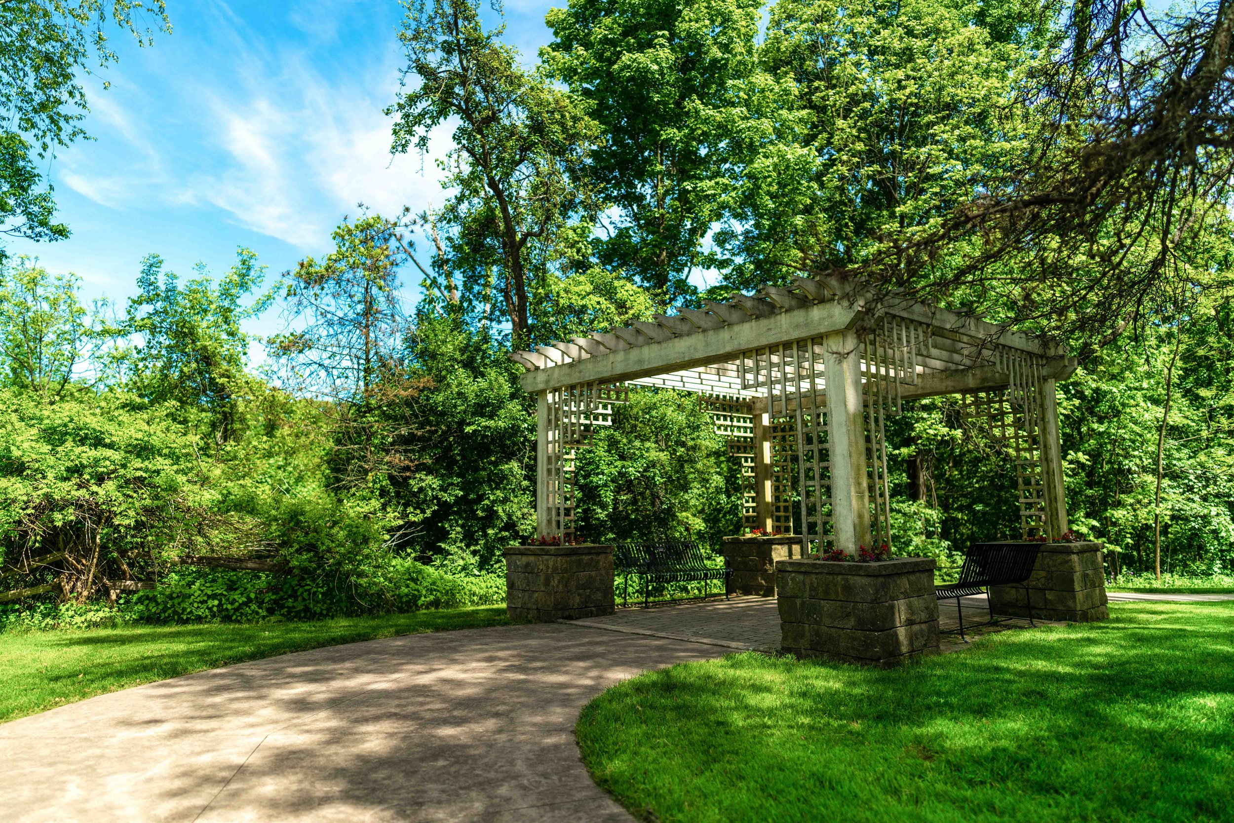 The Garden That Grew 100k-23.jpg
