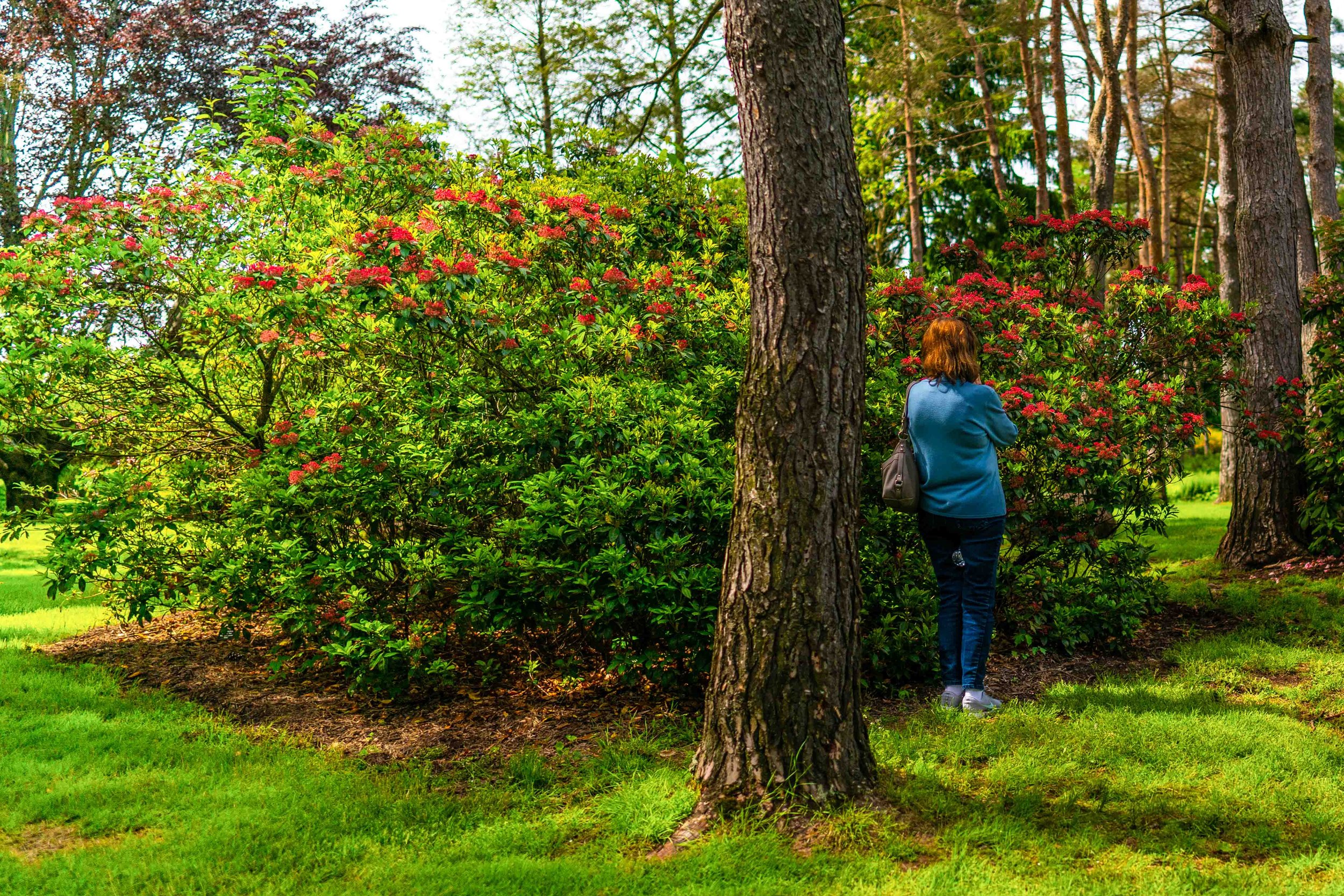 The Garden That Grew 100k-24.jpg