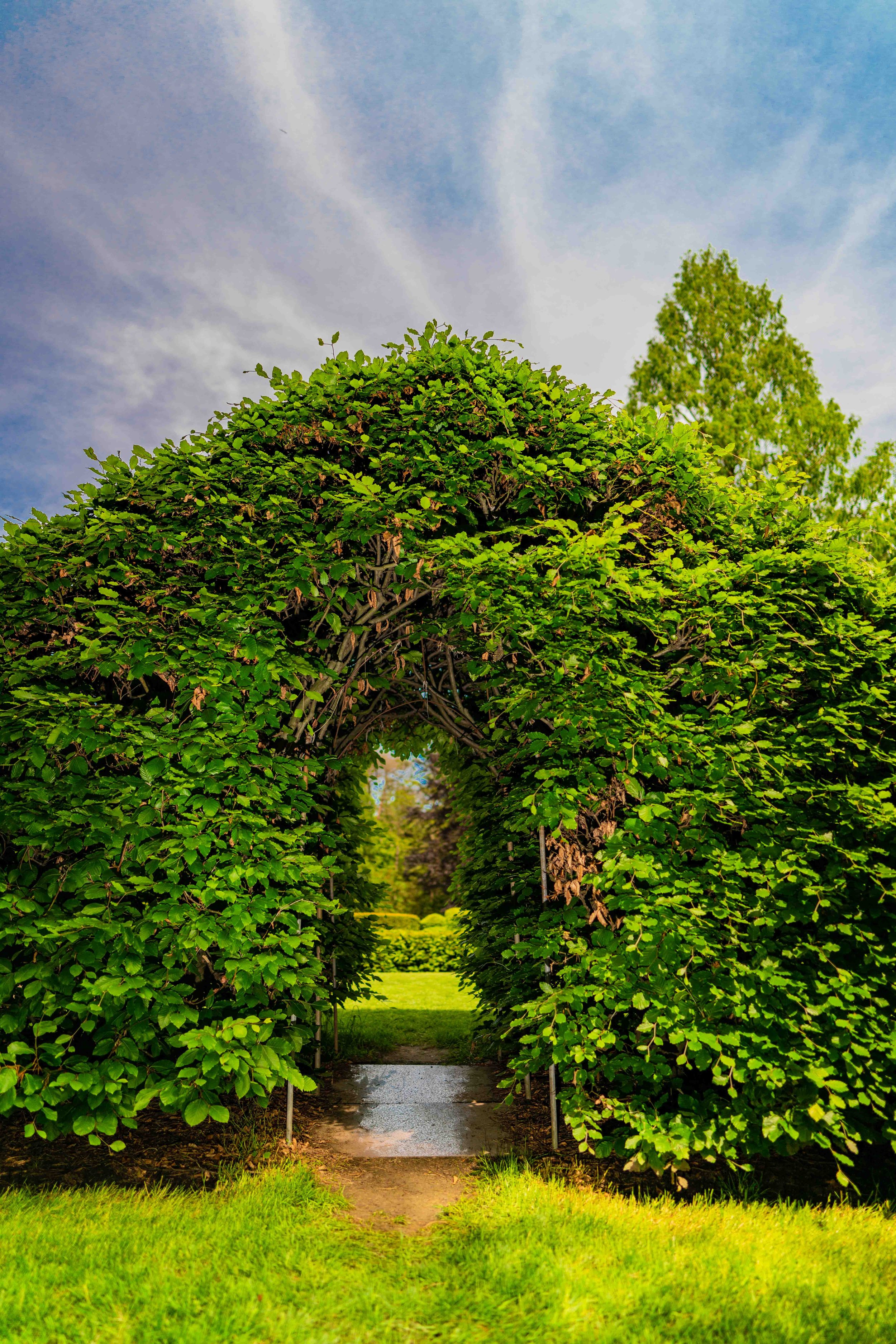 The Garden That Grew 100k-26.jpg
