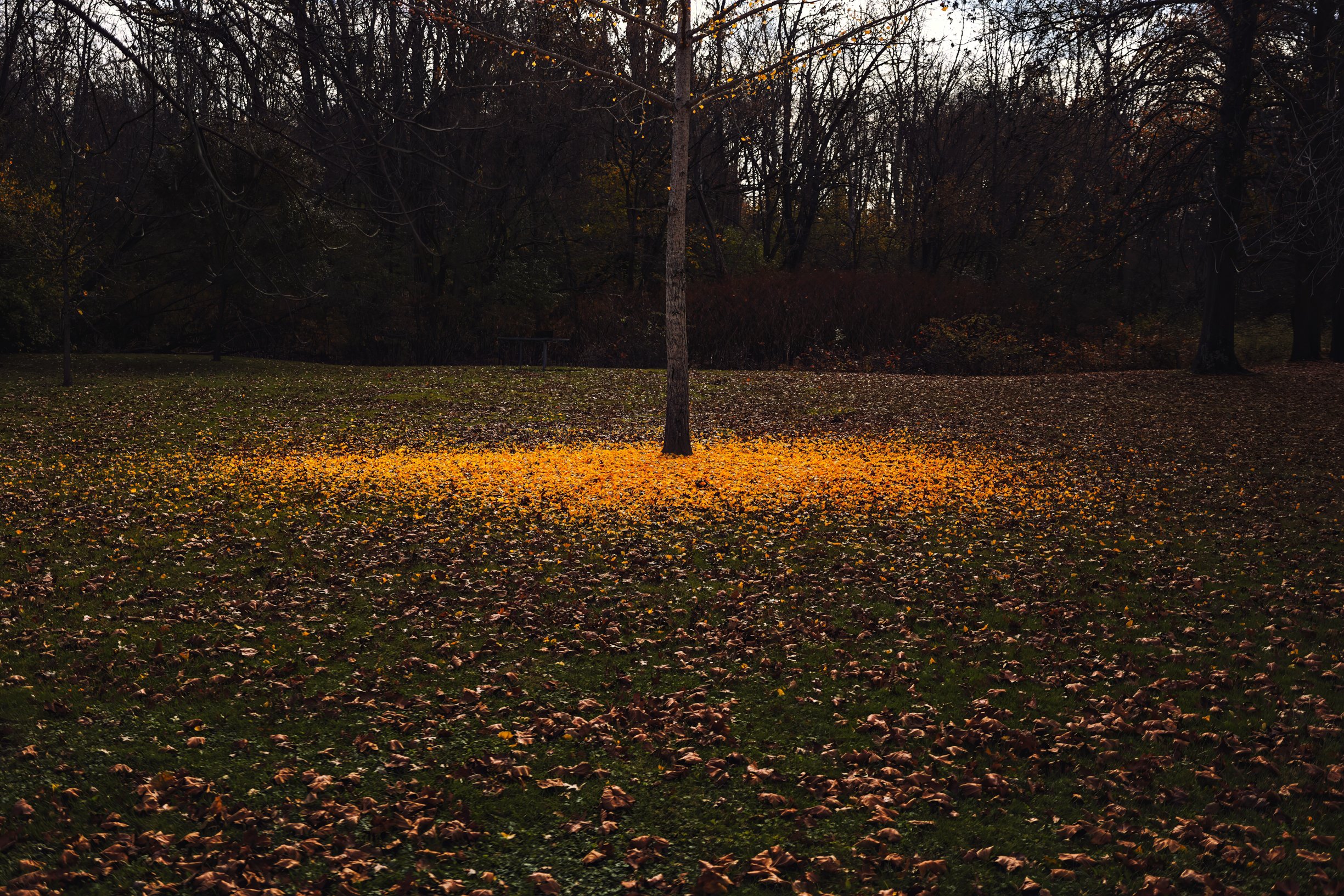 now - project - photo bsmitty_-14.jpg