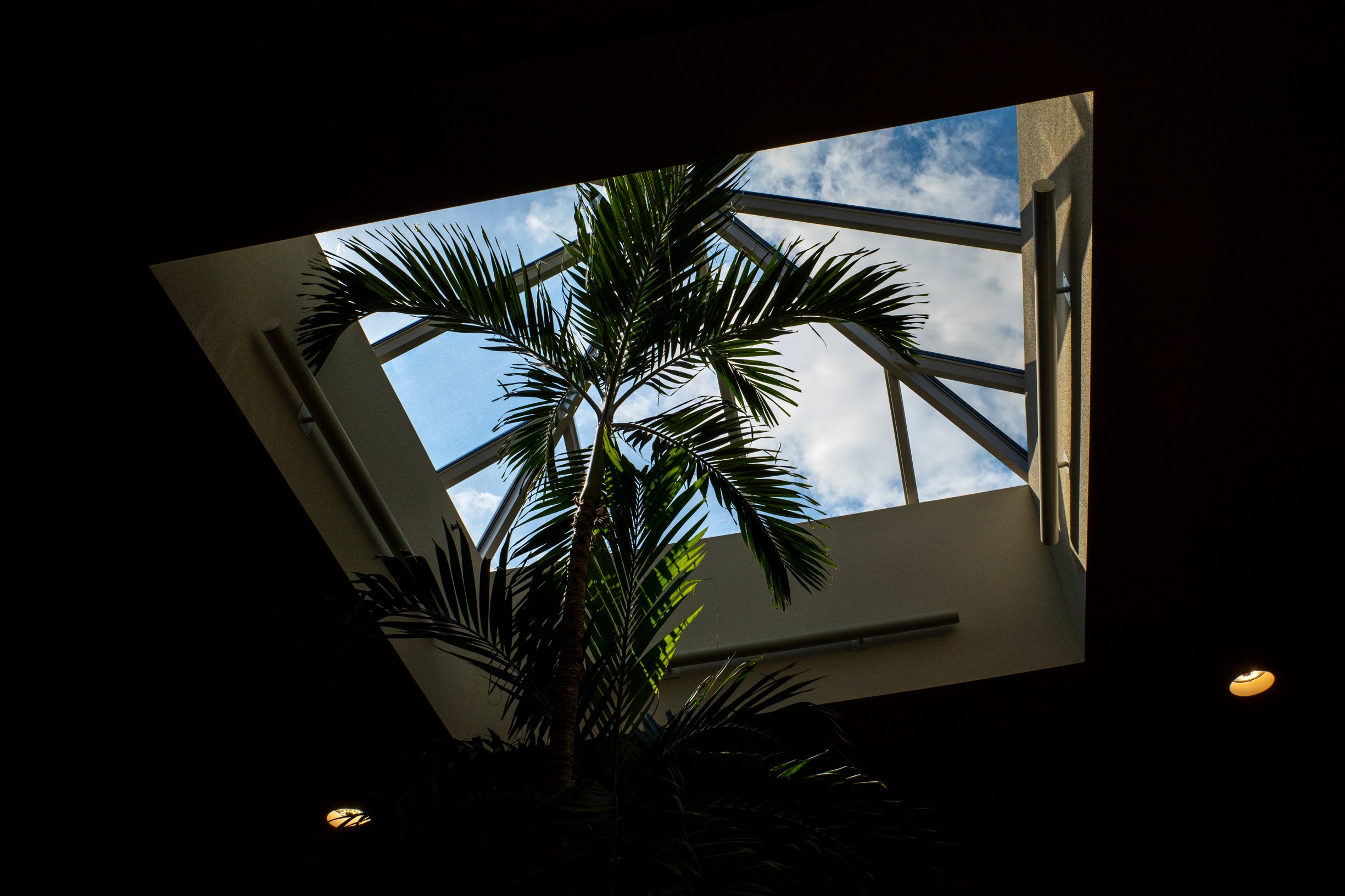 midway web-2.jpg