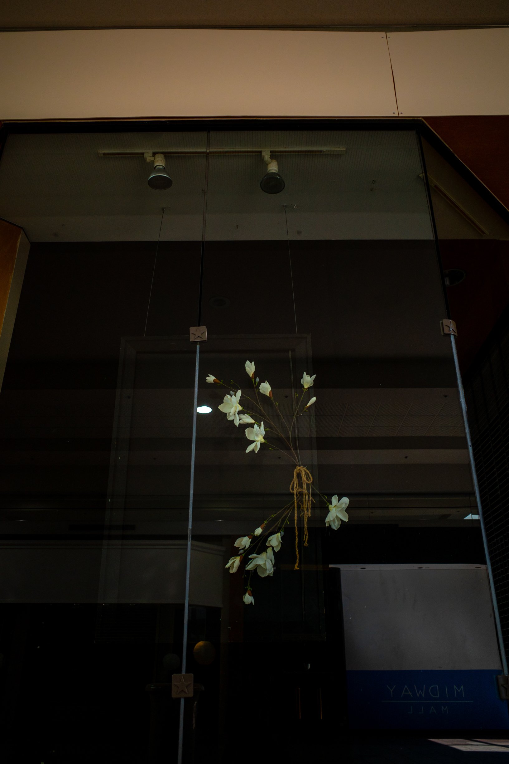 midway web-9.jpg
