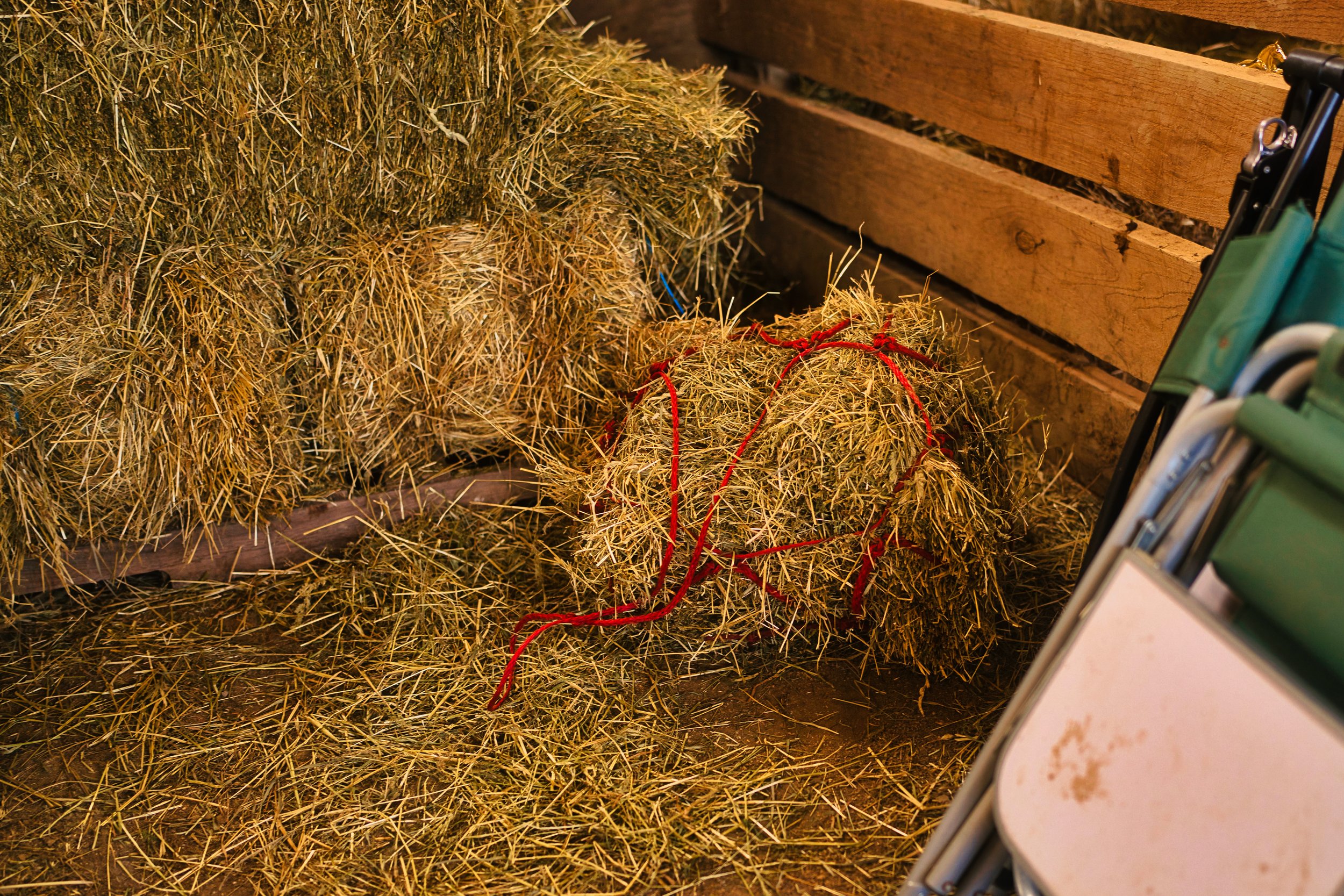 fair 4 squarespace 111-4.jpg