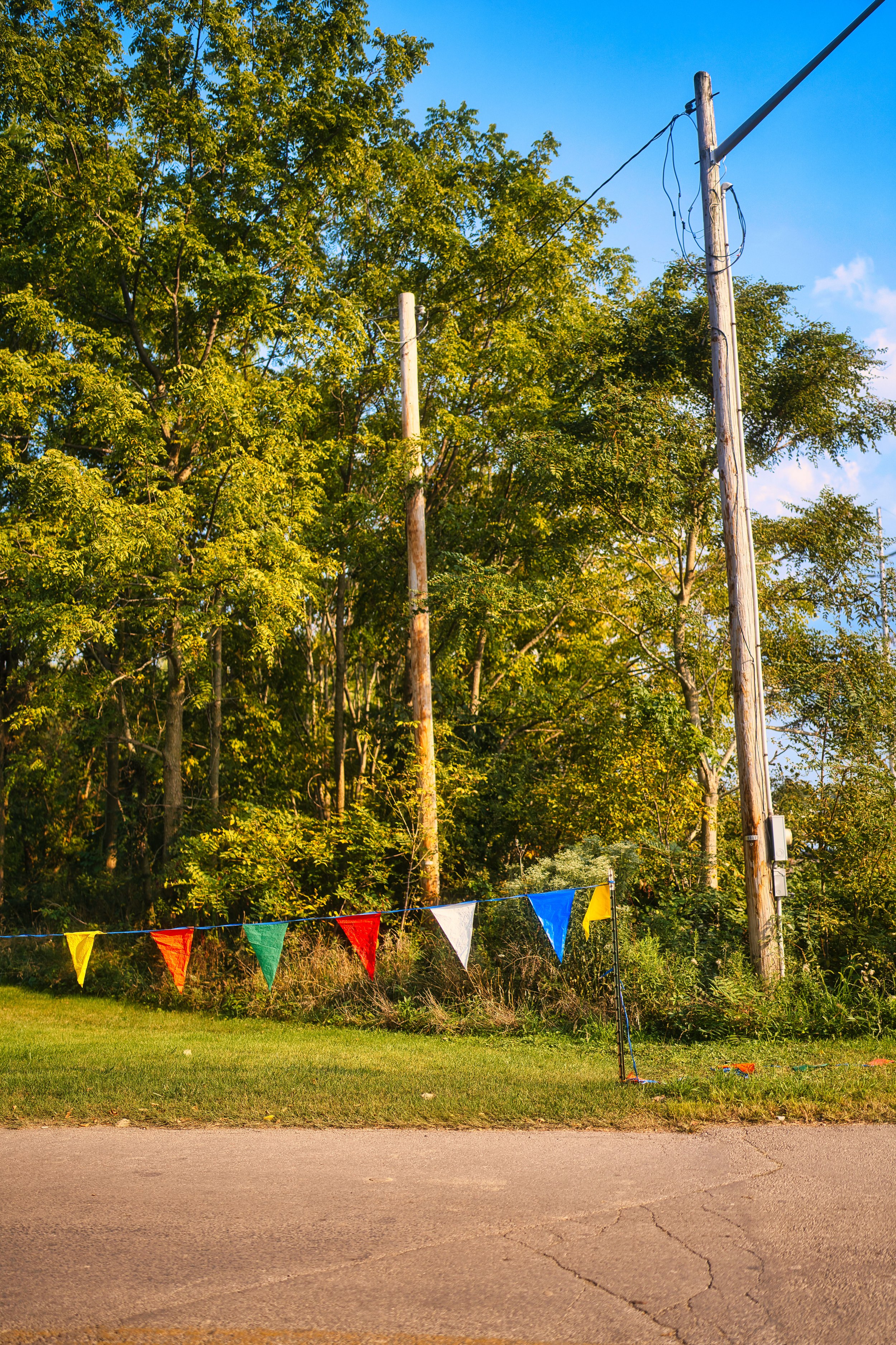 fair 4 squarespace 111-19.jpg