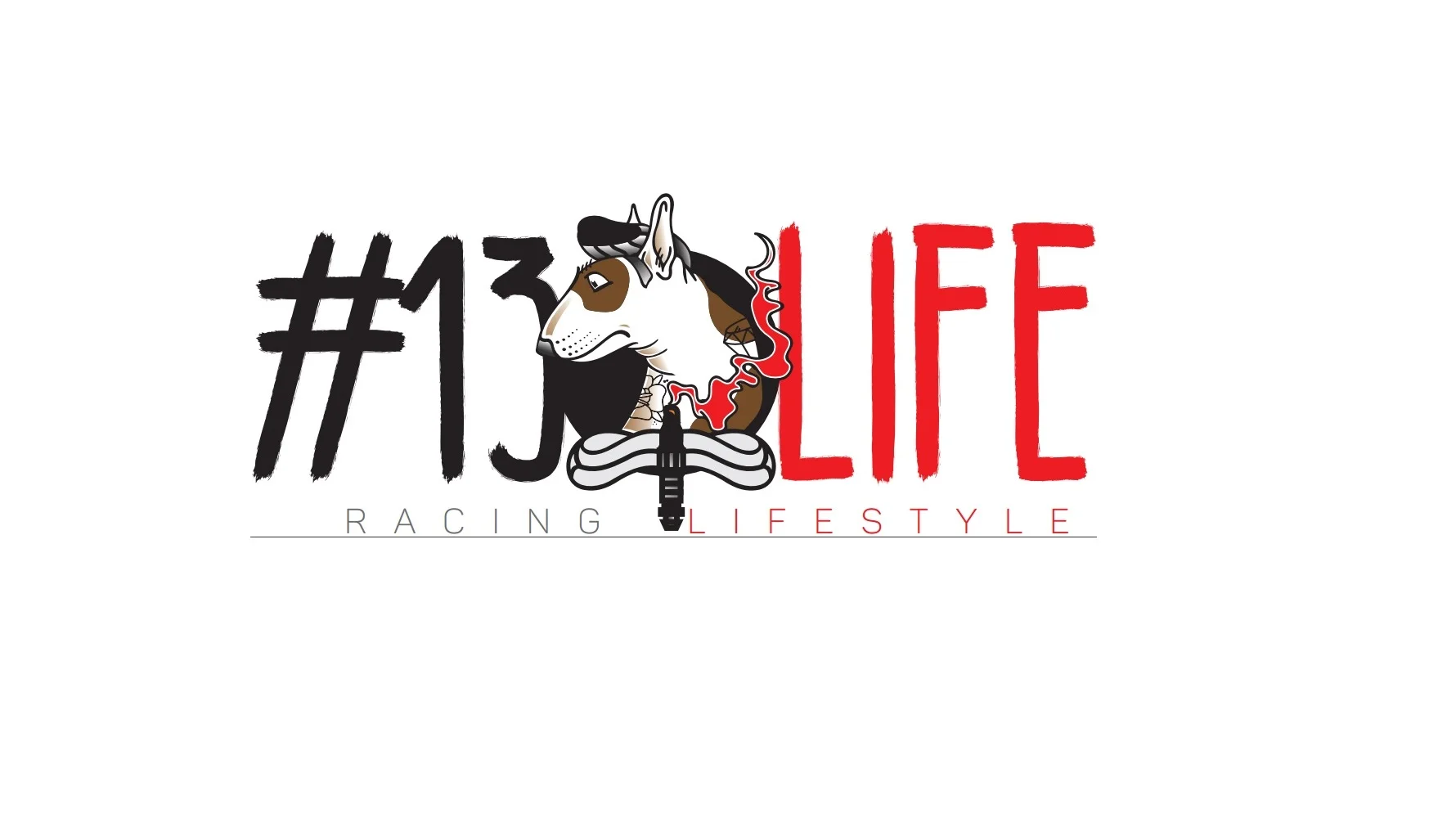 Logo 13 life.jpg