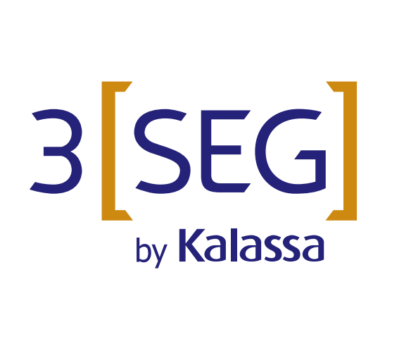 3SEG.png