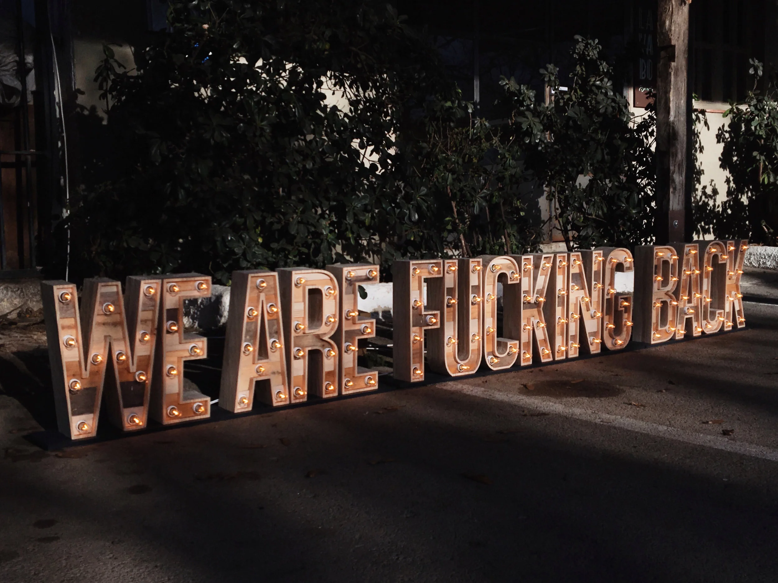 WeAreFuckingBack-27lletres.jpg