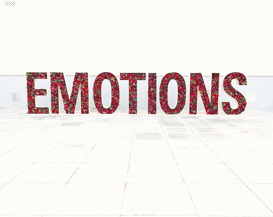 emotions-flores-letras-27lletres.jpeg