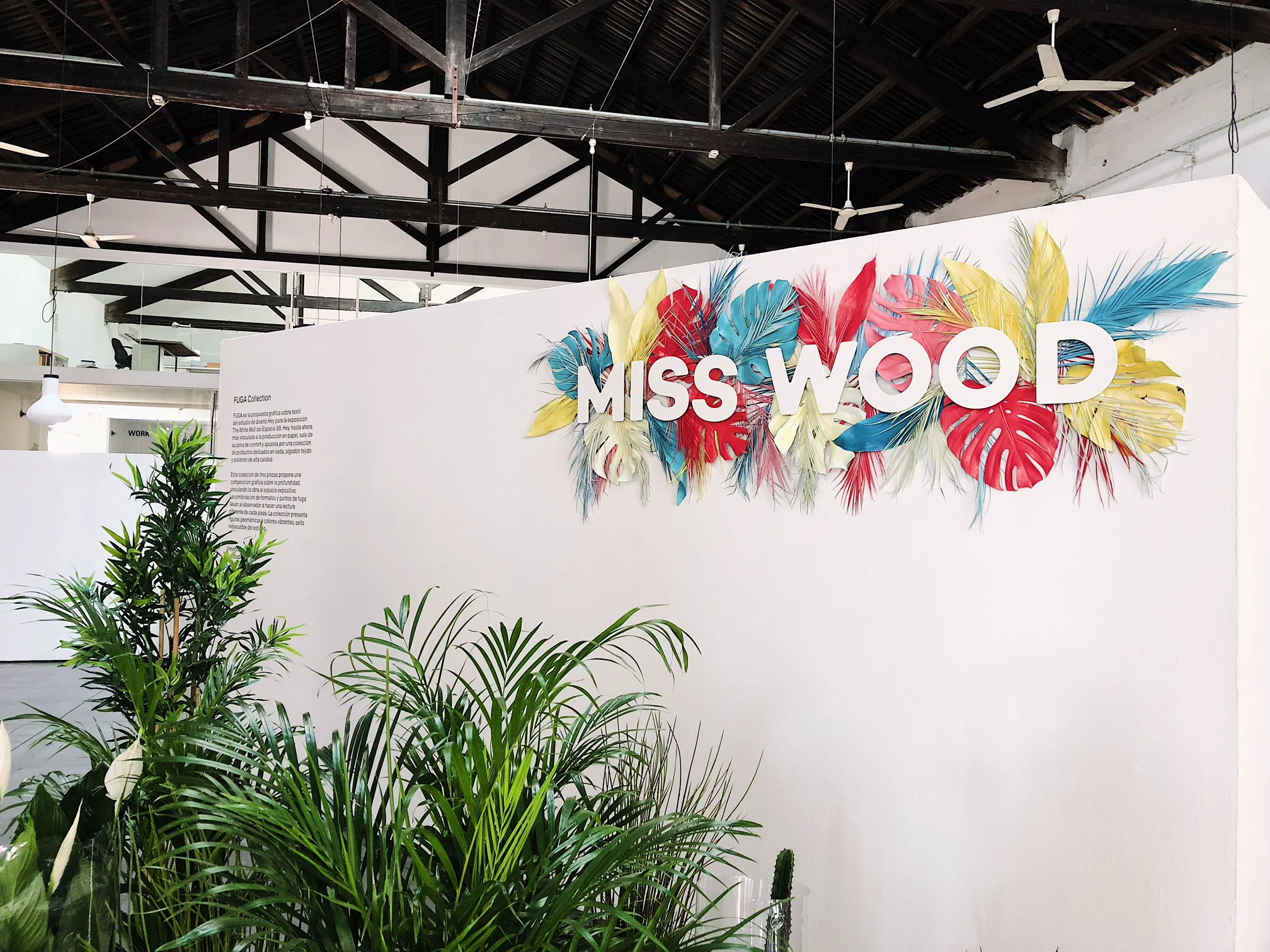 Presentación de producto de Miss Wood