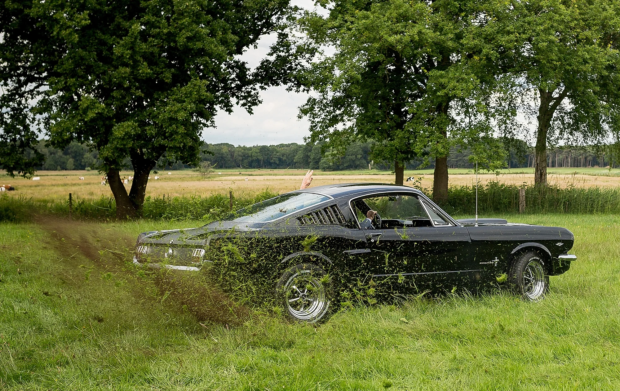 bruidsfotograaf-brabant-trouwen-in-het-bos-festivalbruiloft-vught-haaren_0101.jpg