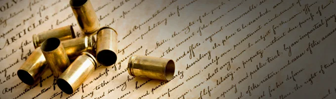 080812_second_amendment_2.jpg