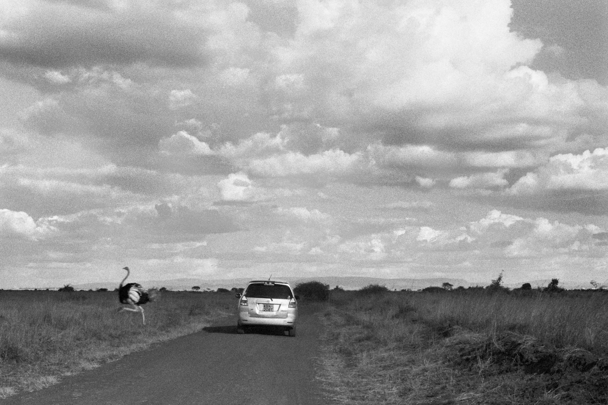 Kenya-4.jpg