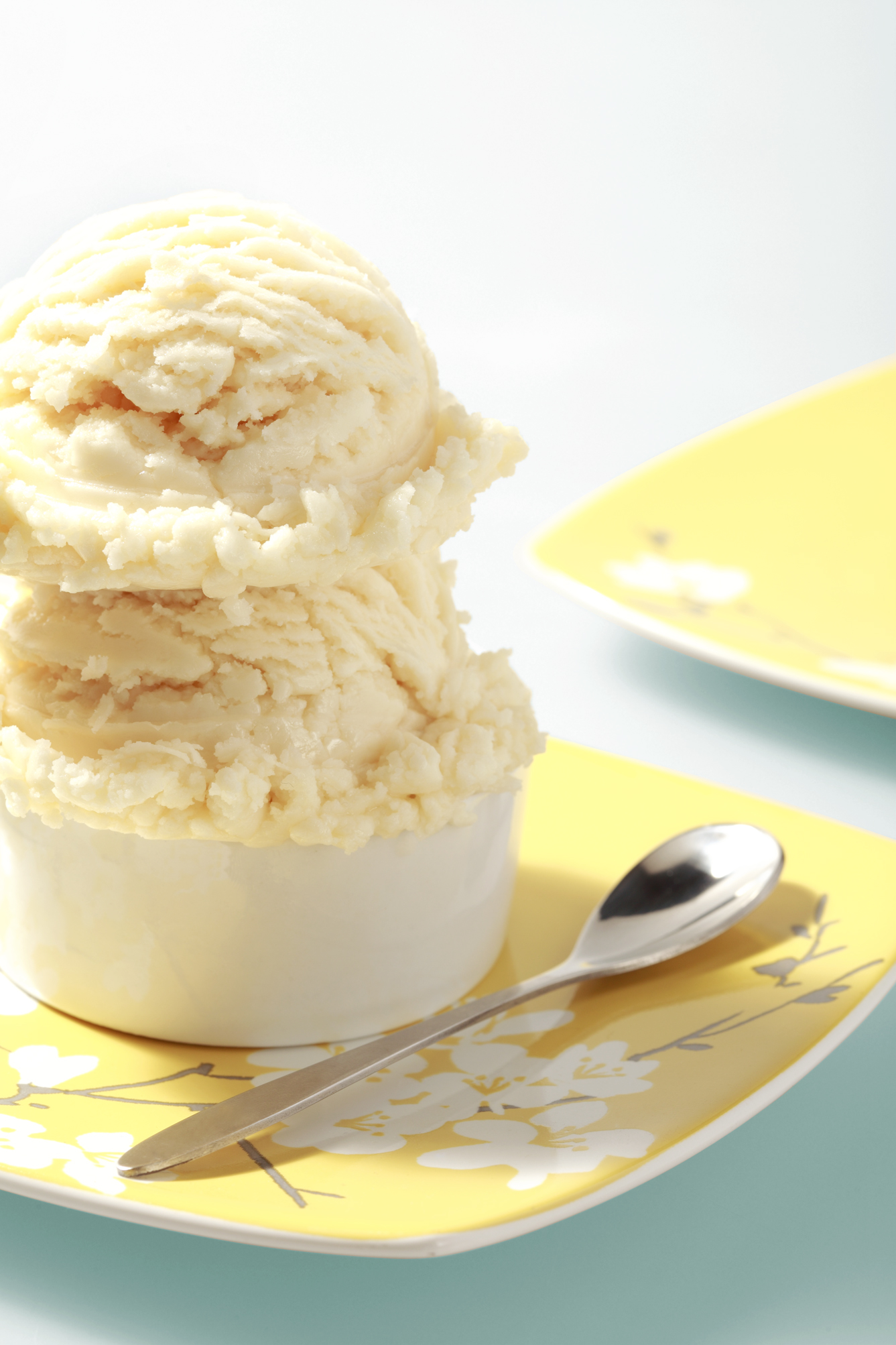 Vanilla Ice Cream.jpg