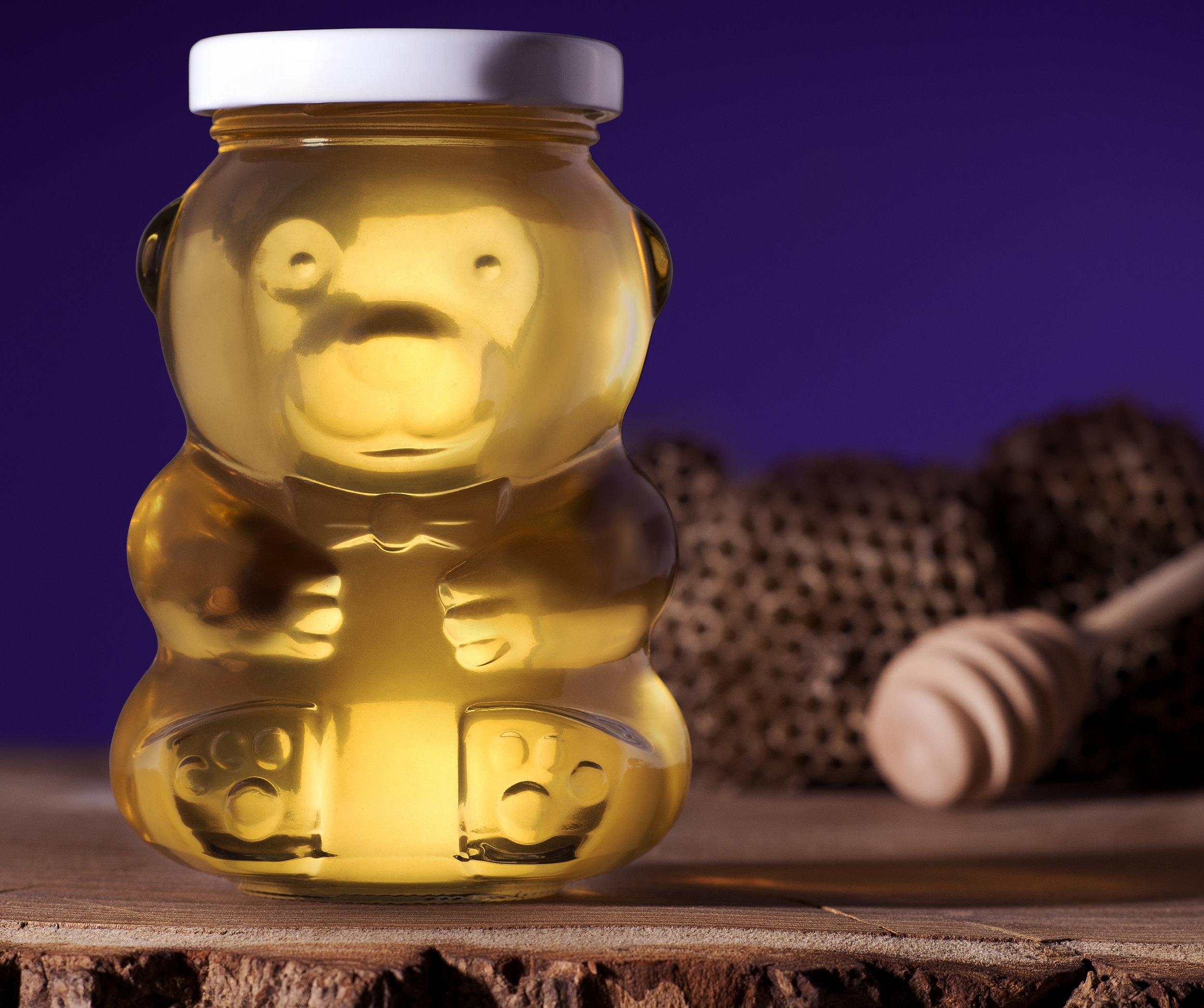 Honey Bear -Final cc crop.jpg