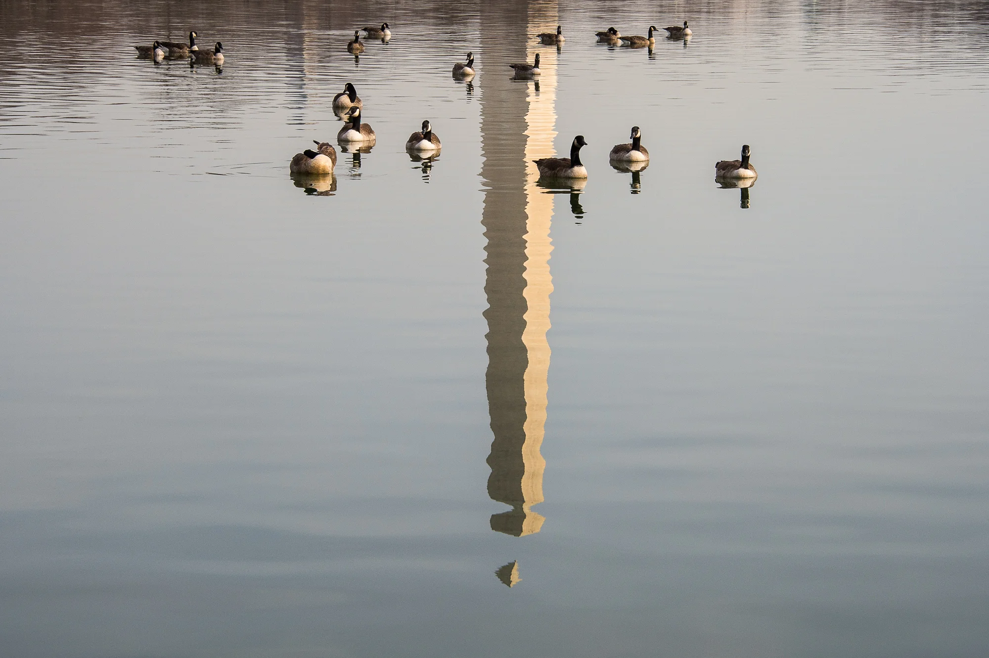wpid903-Floating-on-the-Basin_DBLPhotography.jpg