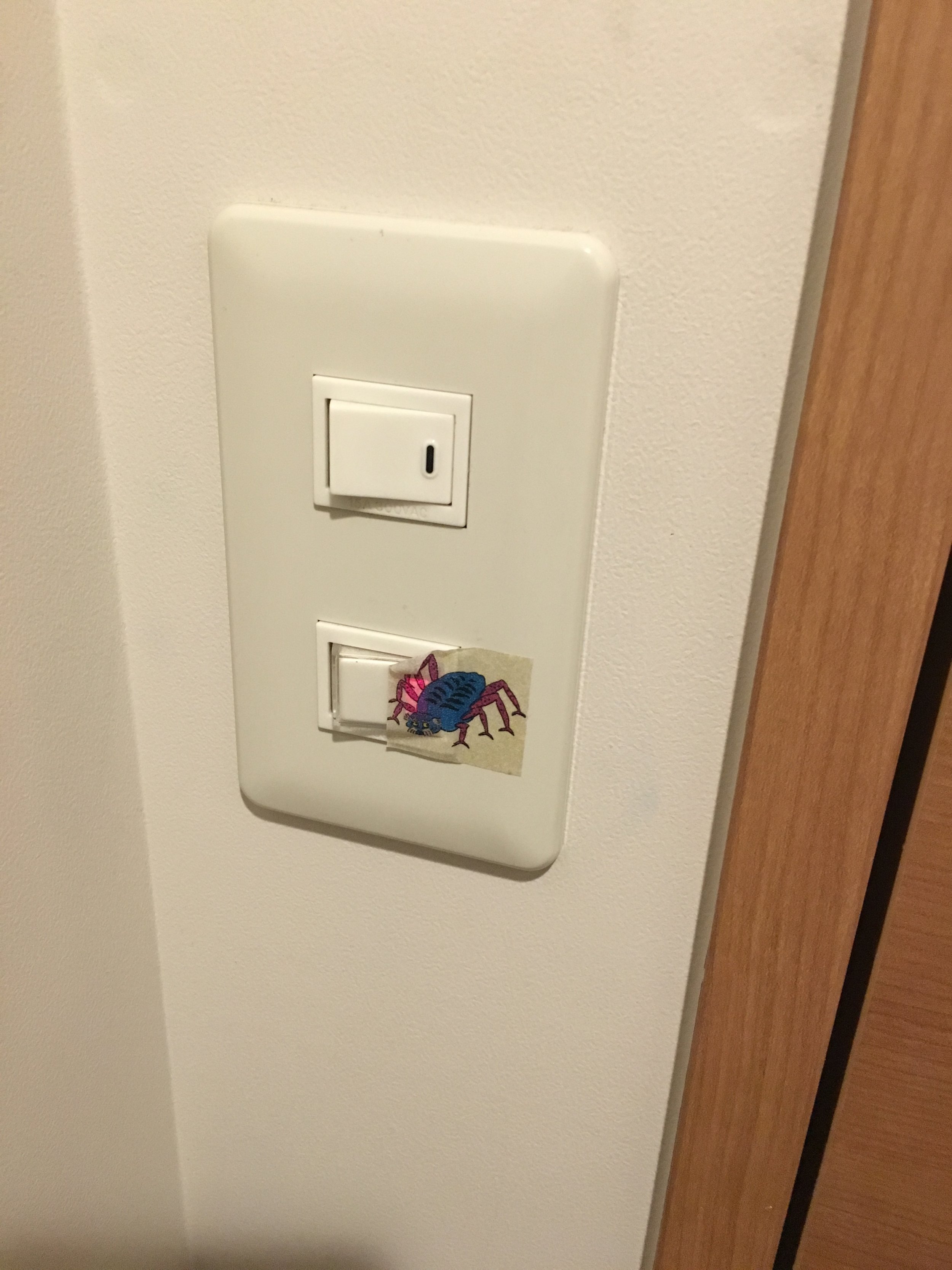 Top switch is the light. Bottom switch RELEASES THE ROACHES!