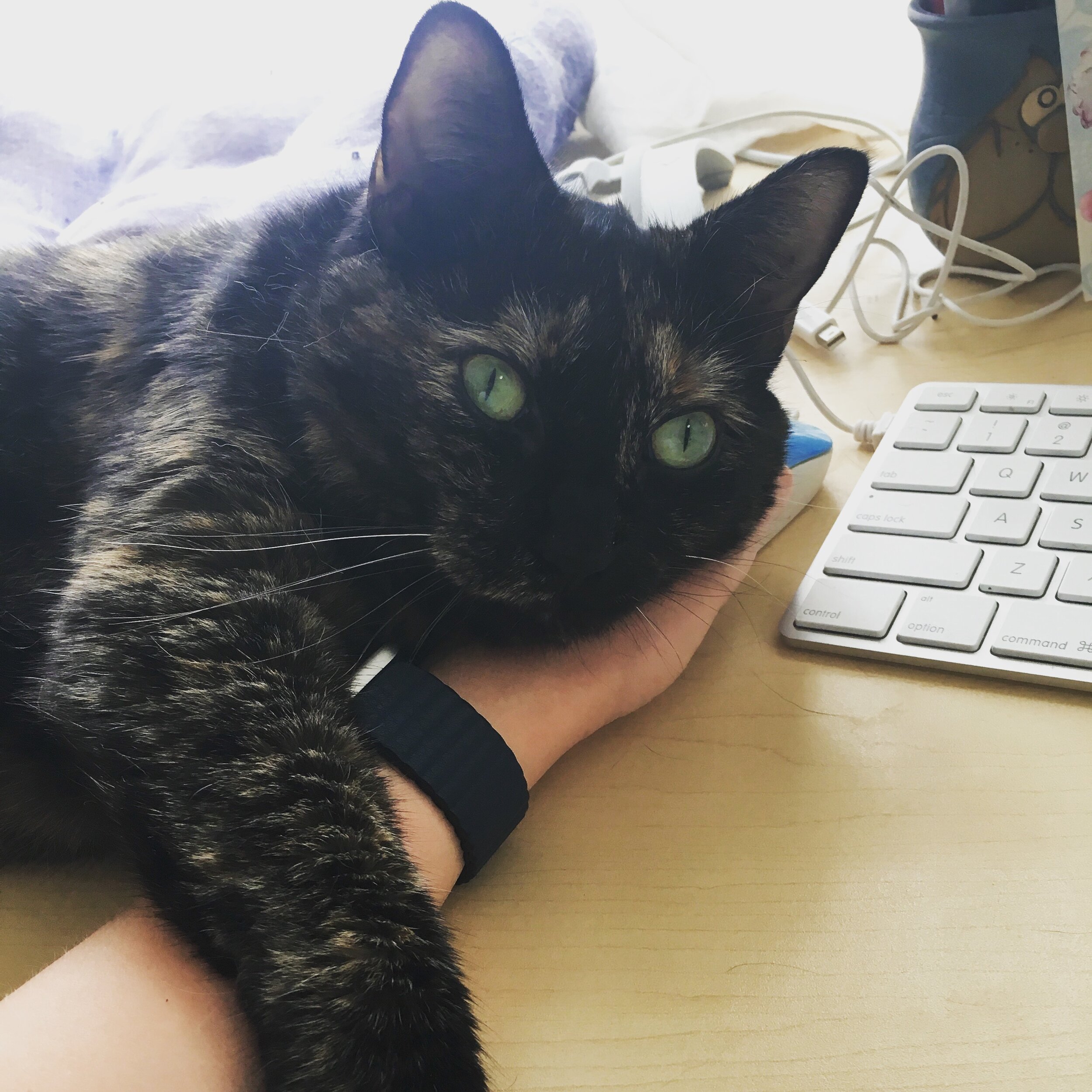 The very best of memories