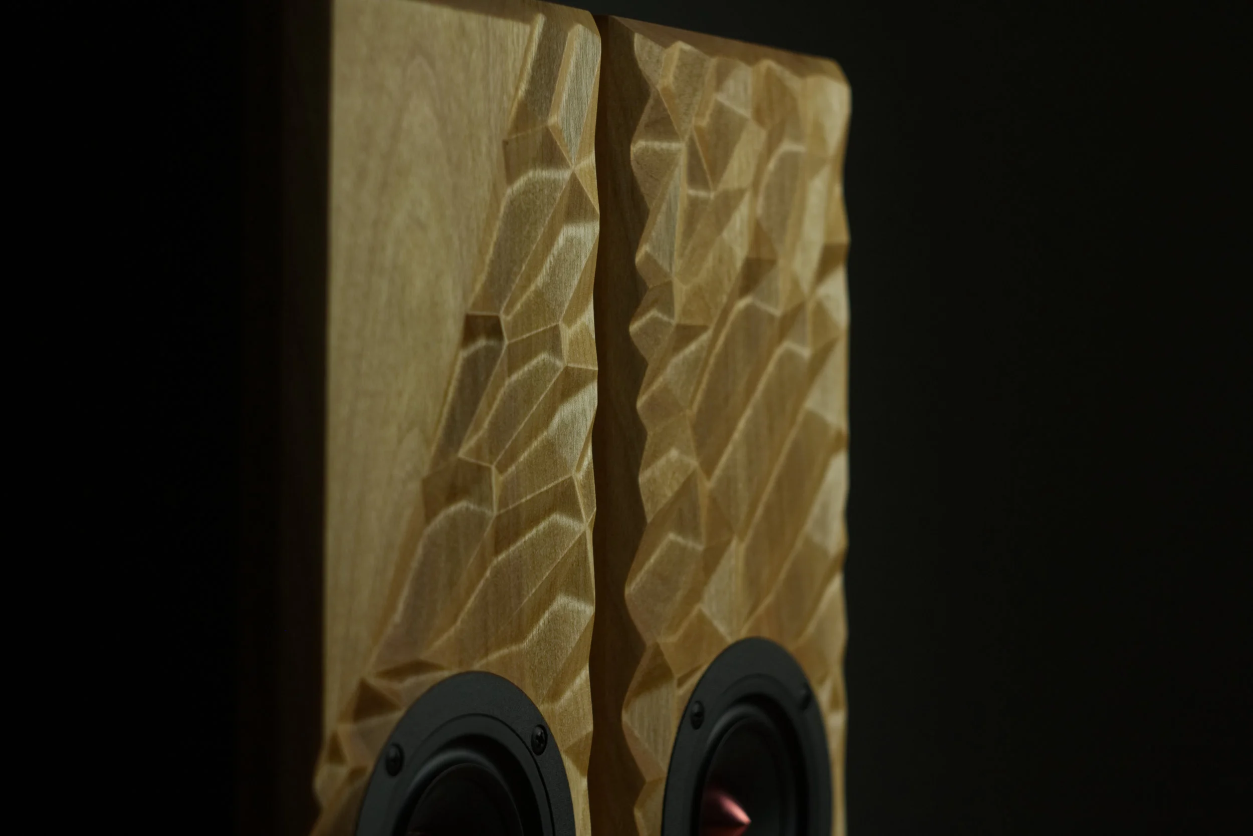 Morro Speakers Top Detail.jpg