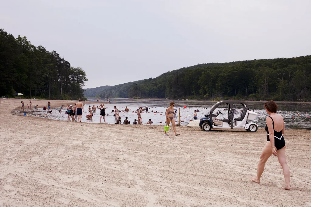 Watering Hole, 2012