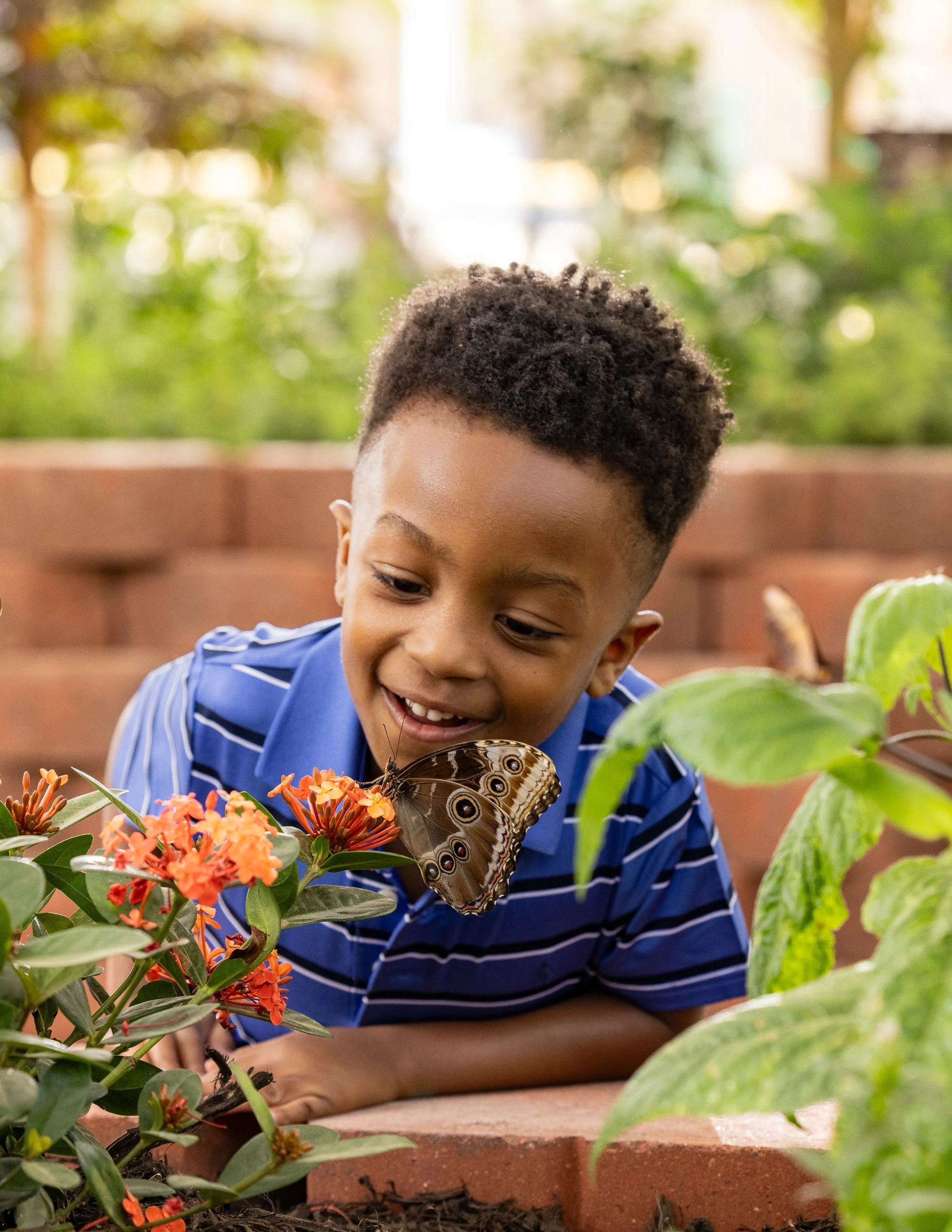 DallasZoo_Butterfly_03_Fam3_CloseUpReaction_0357-2.jpg