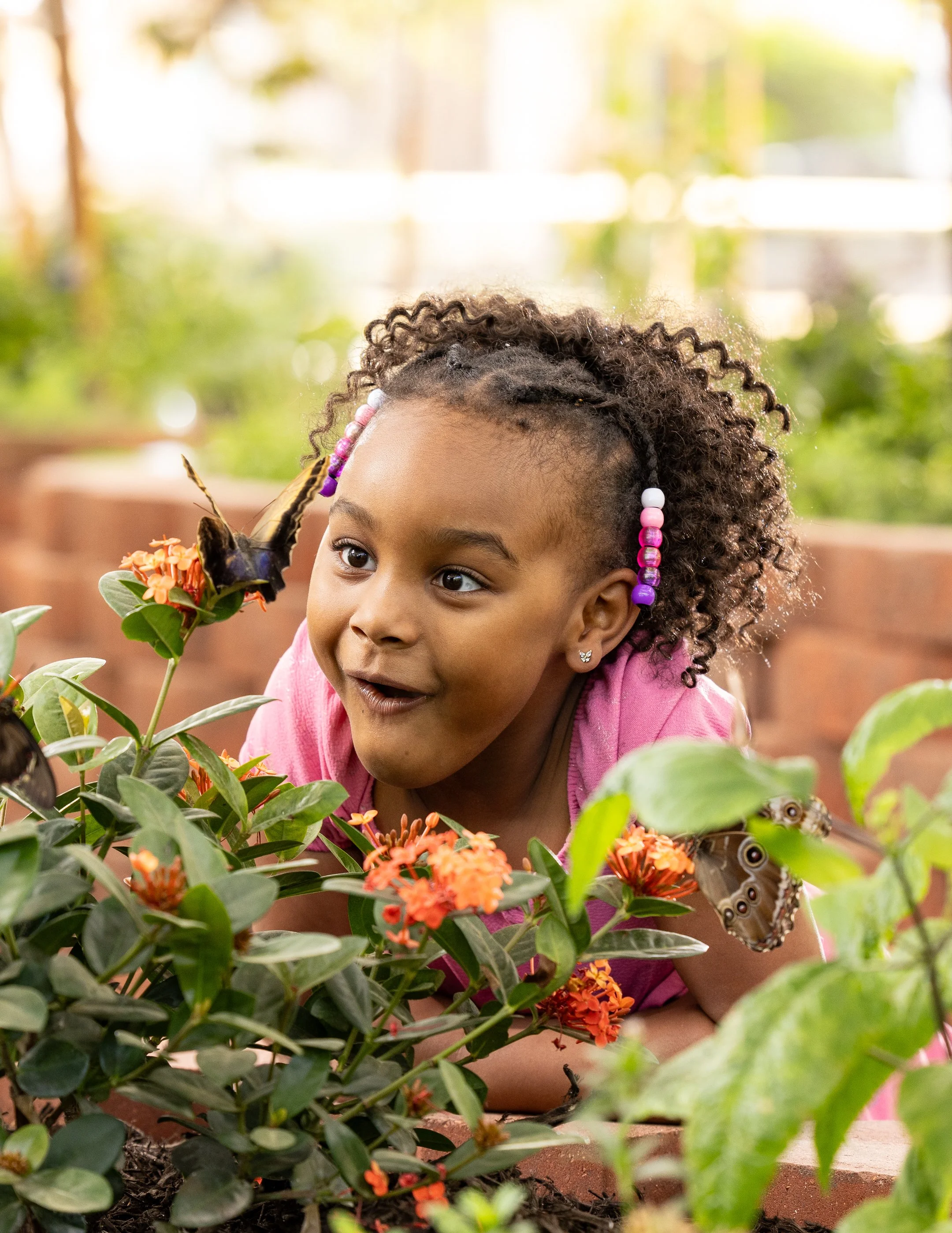 DallasZoo_Butterfly_02_Fam2_CloseUpReaction_0152-Edit.jpg