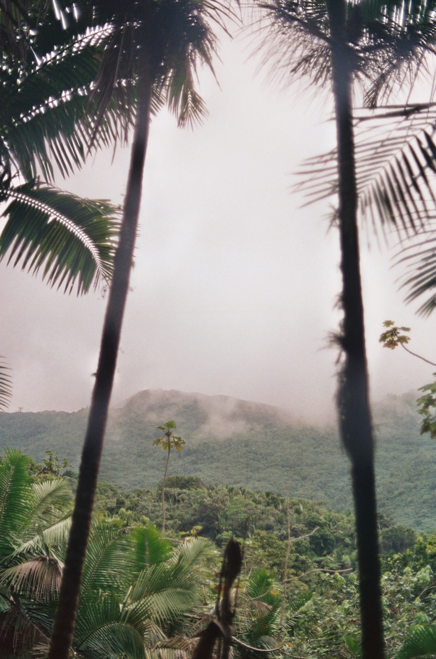 puerto rico